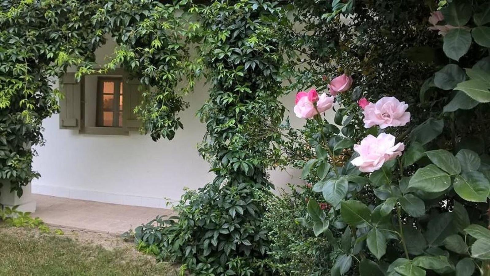 Maison Cirmi view 2