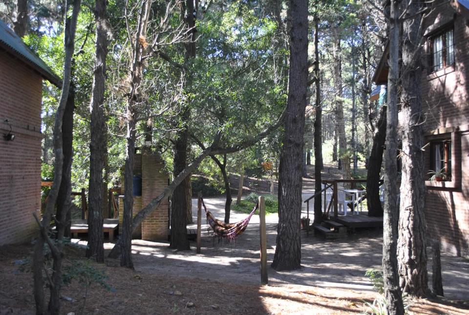 Cabañas Poetas del Bosque