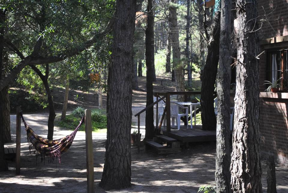 Cabañas Poetas del Bosque