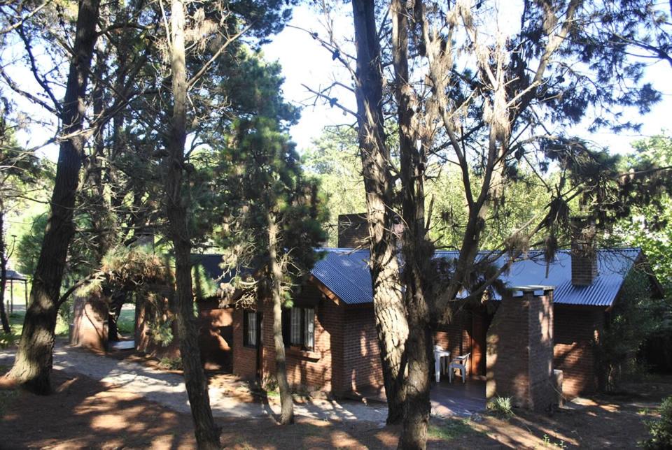 Cabañas Poetas del Bosque