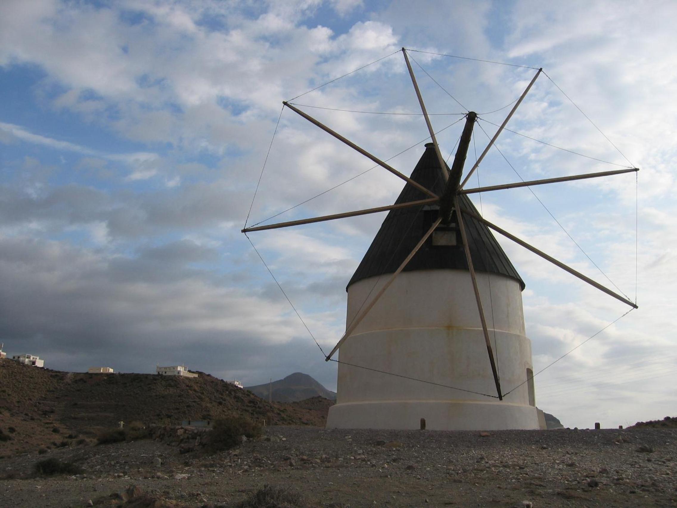 Photo 41