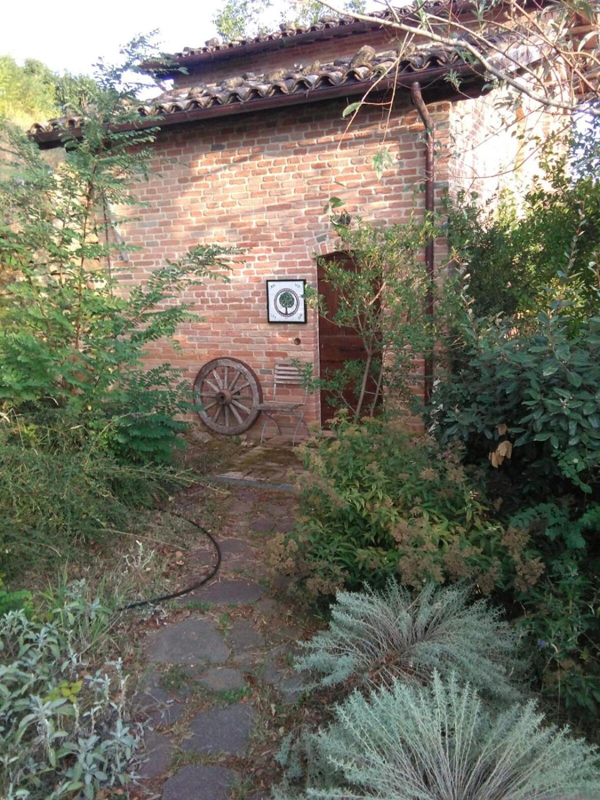 Photo 12
