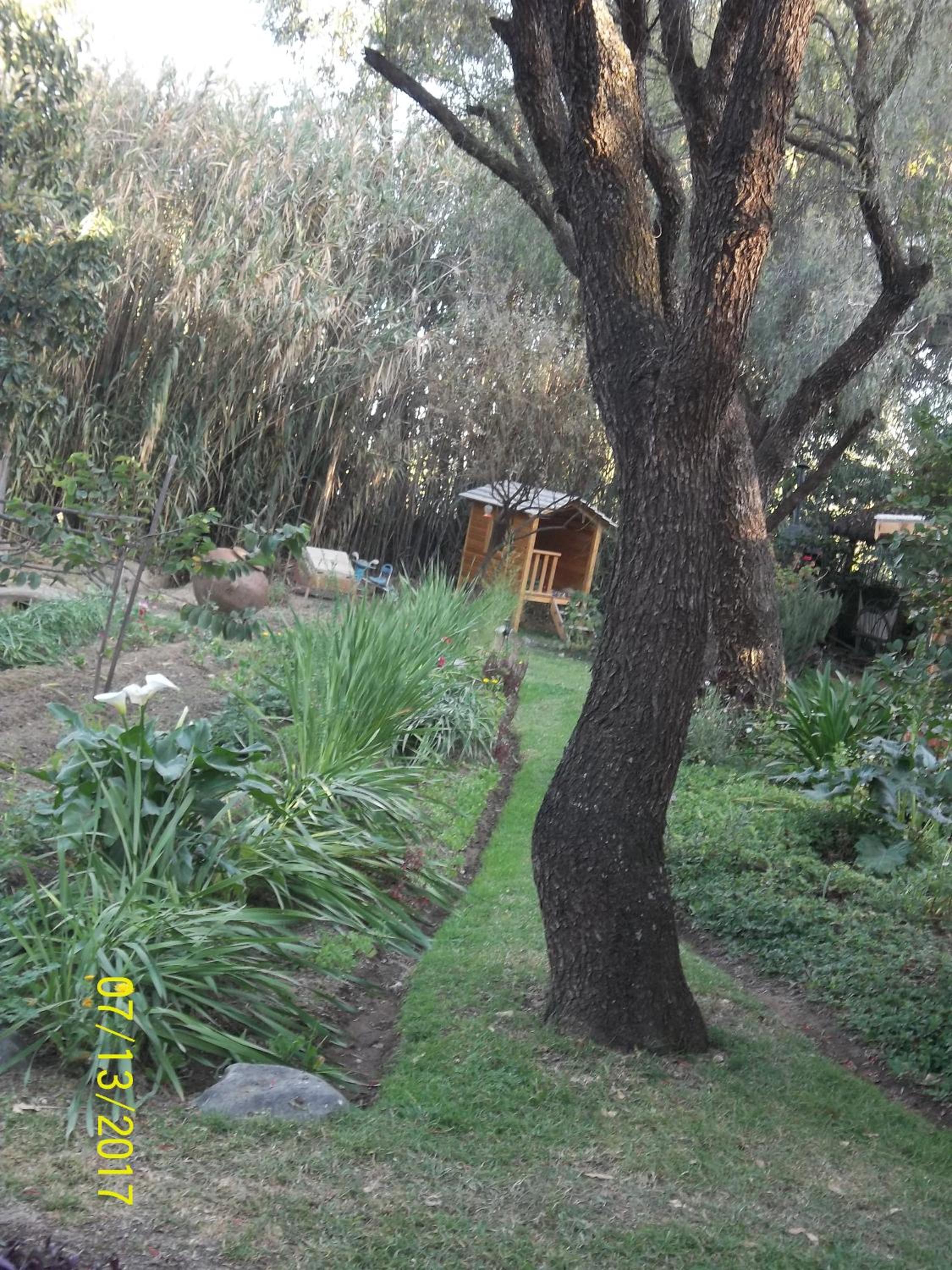 Photo 26
