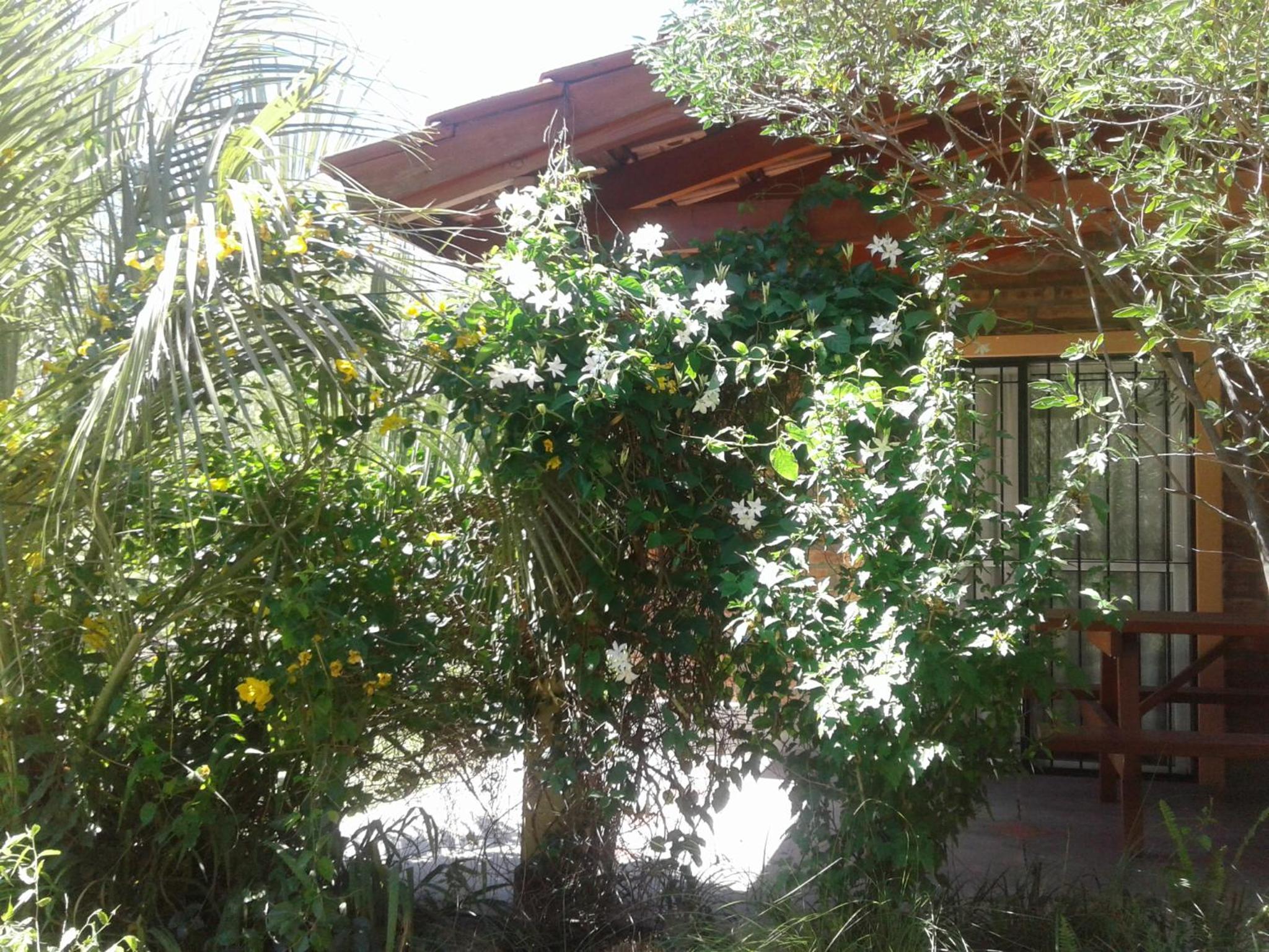 Cabañas Valentina
