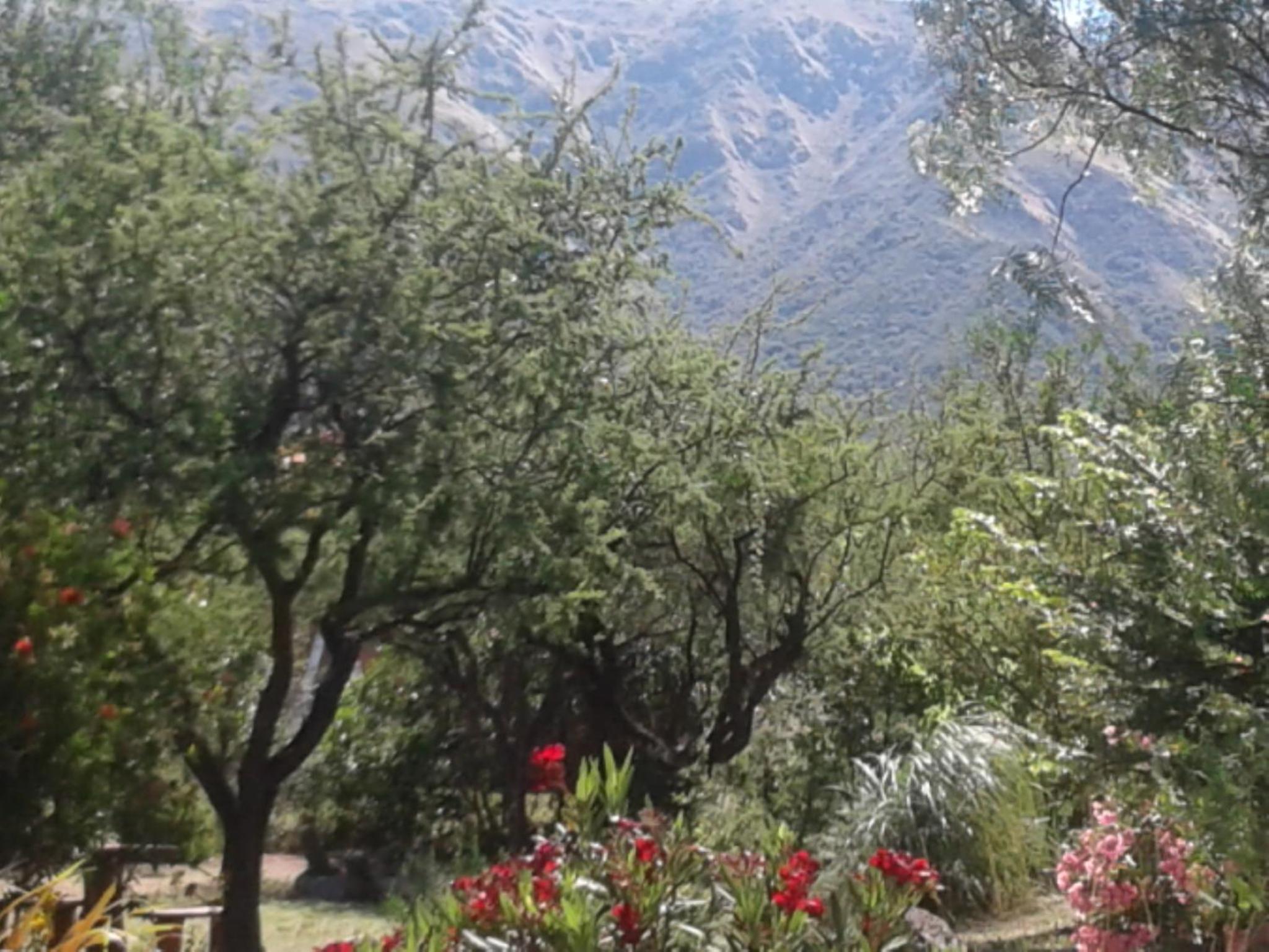 Cabañas Valentina