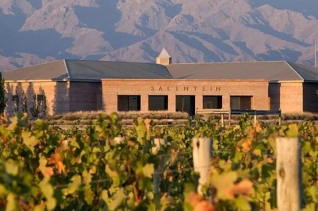 Casa en la Ruta del Malbec
