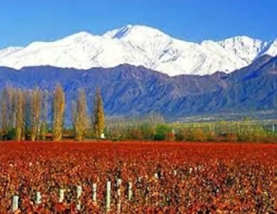 Casa en la Ruta del Malbec