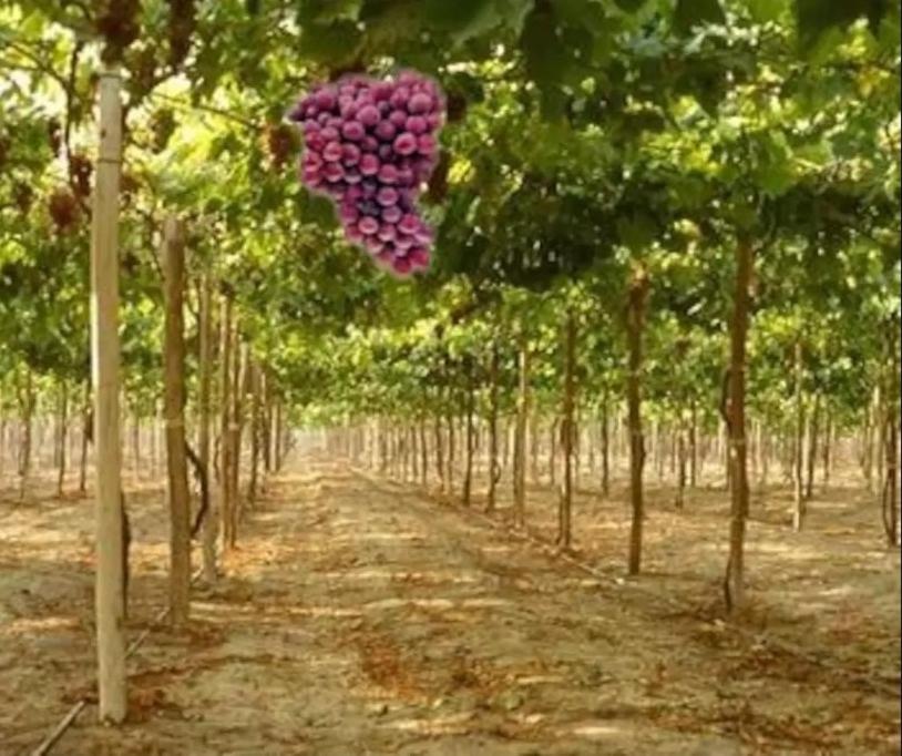 Casa en la Ruta del Malbec