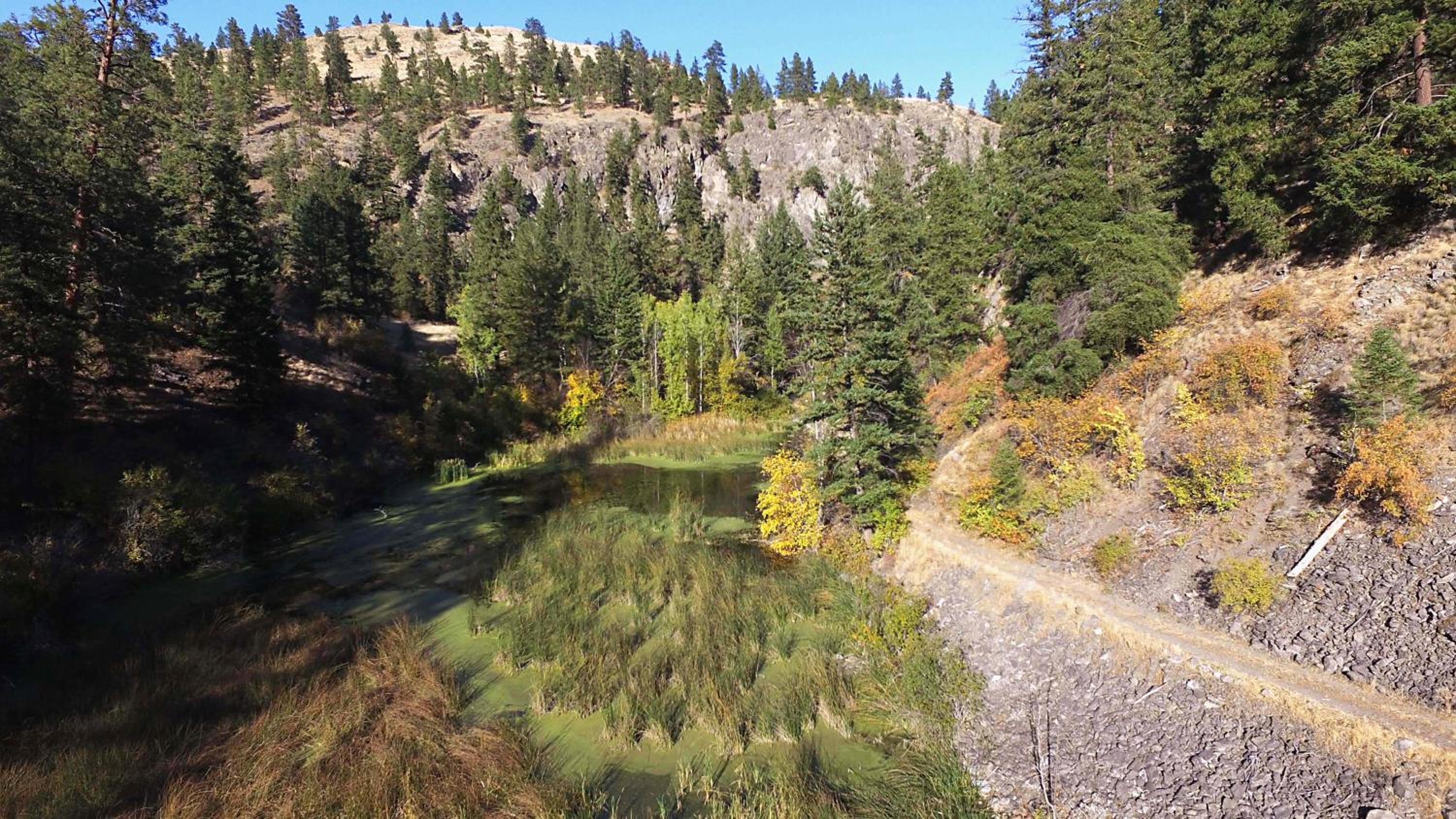 Mountain Springs Nature Retreat
