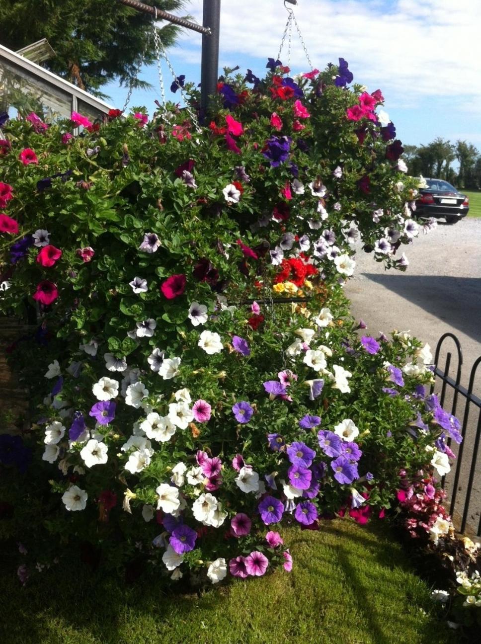 Photo 41