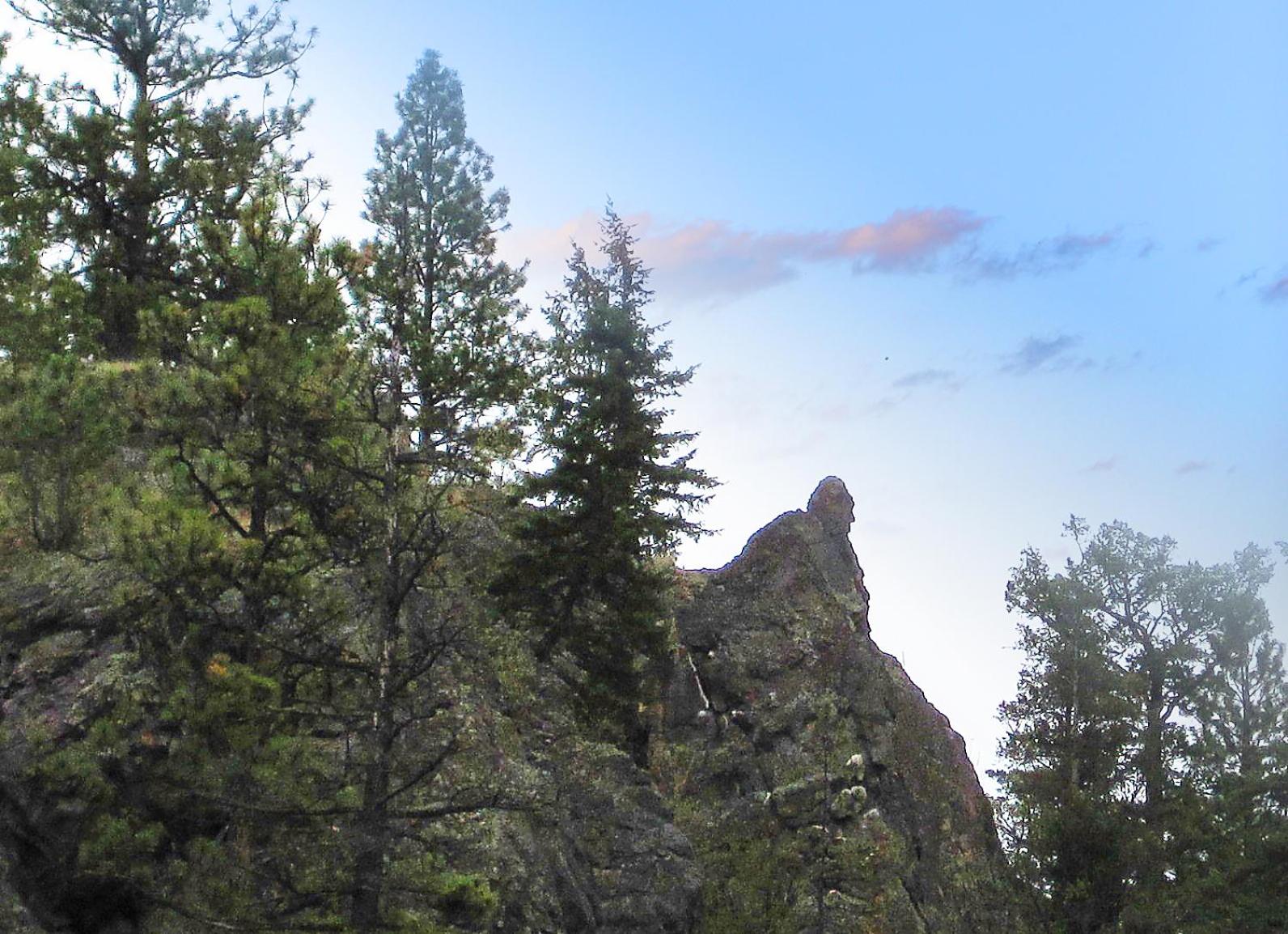 Mountain Springs Nature Retreat