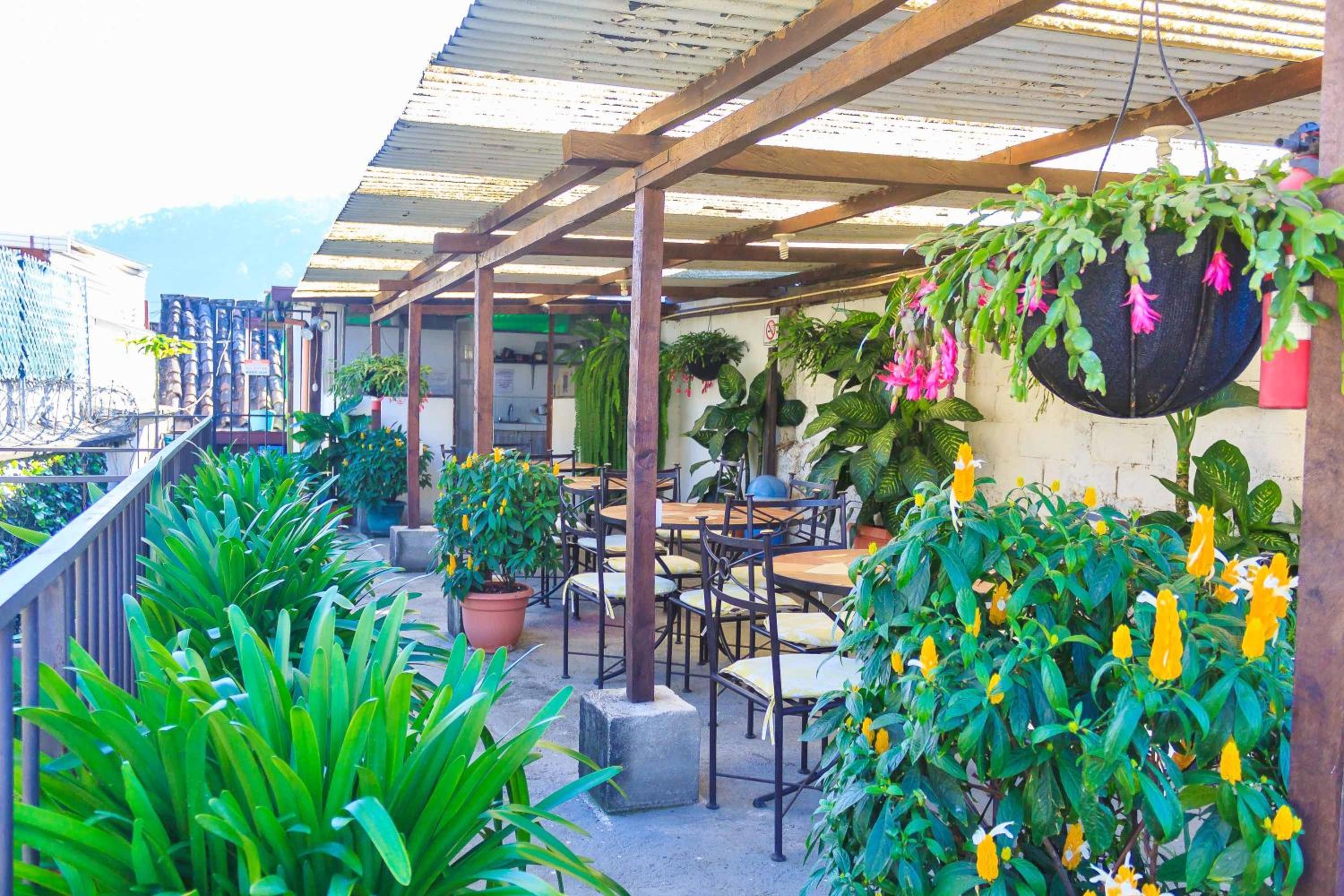 Hostal Antigua