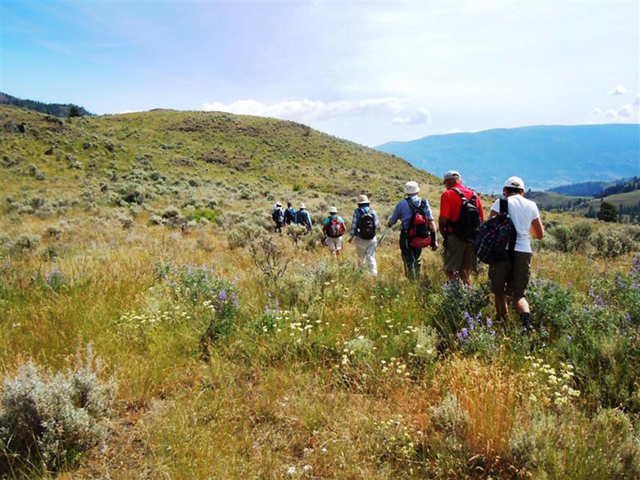 Mountain Springs Nature Retreat