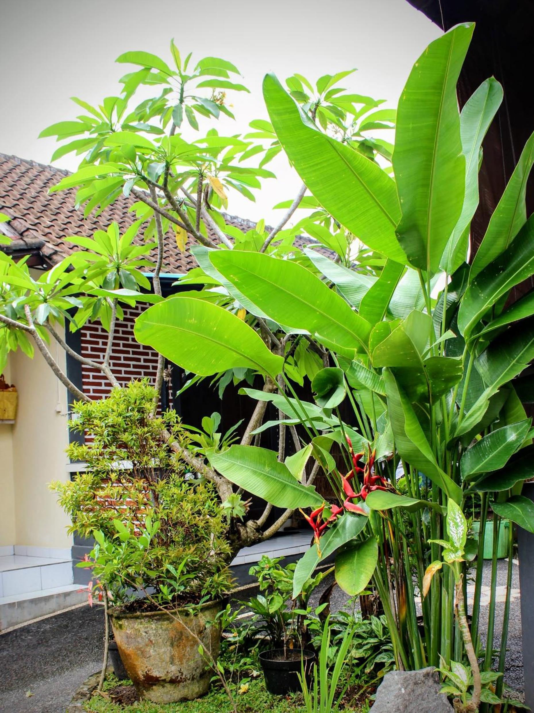 Zimong House
