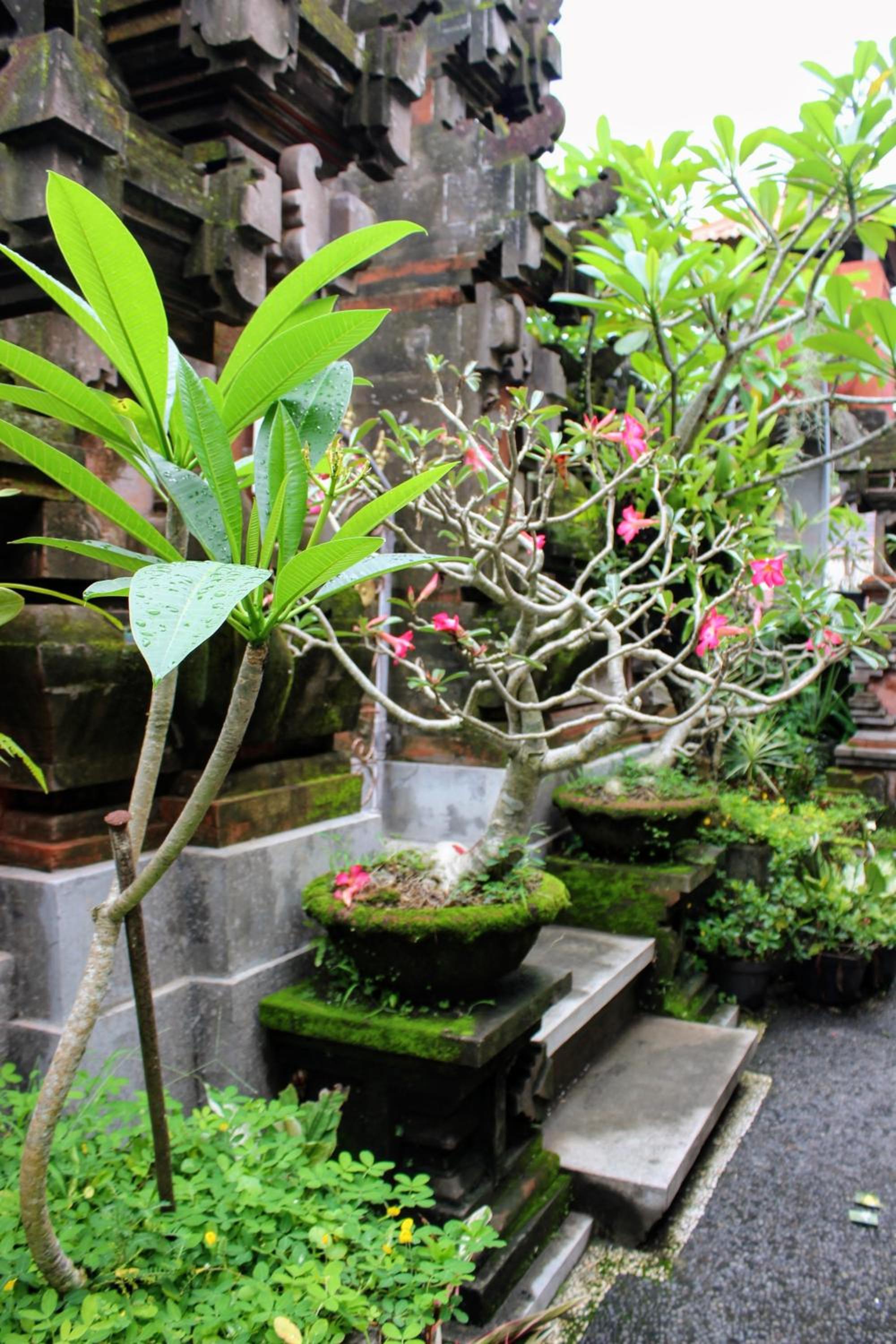 Zimong House