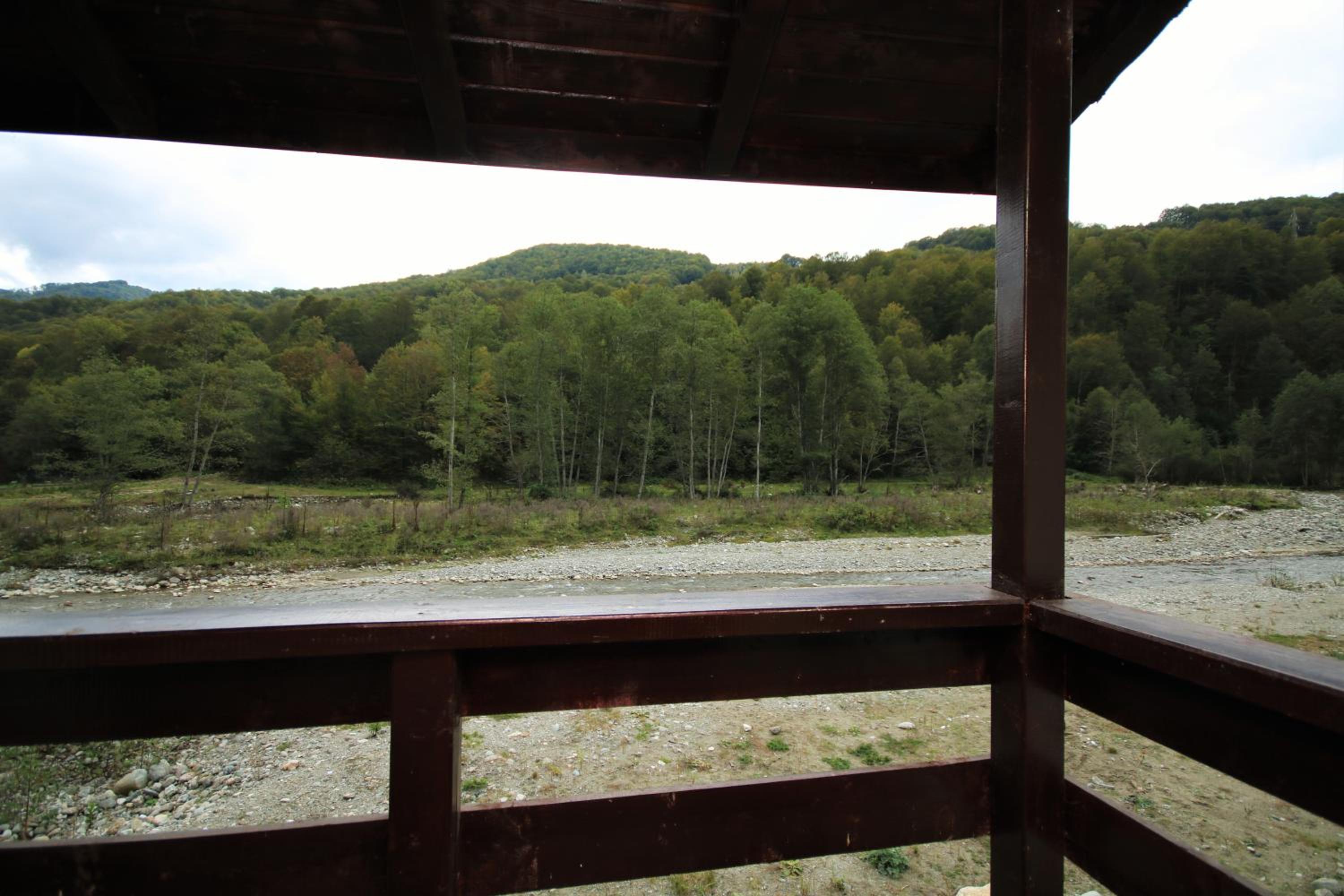Photo 46