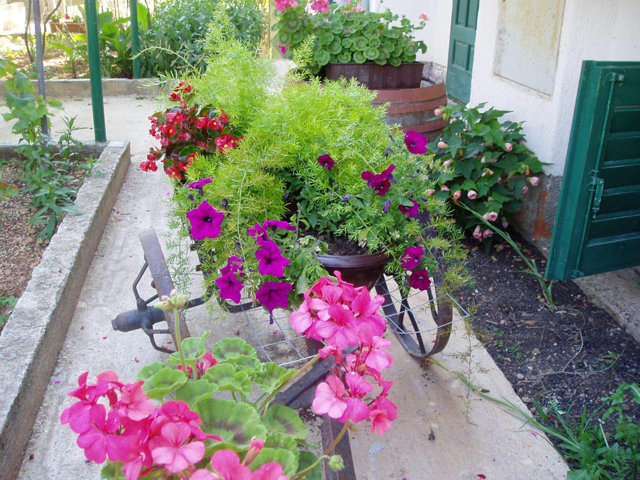 Photo 26