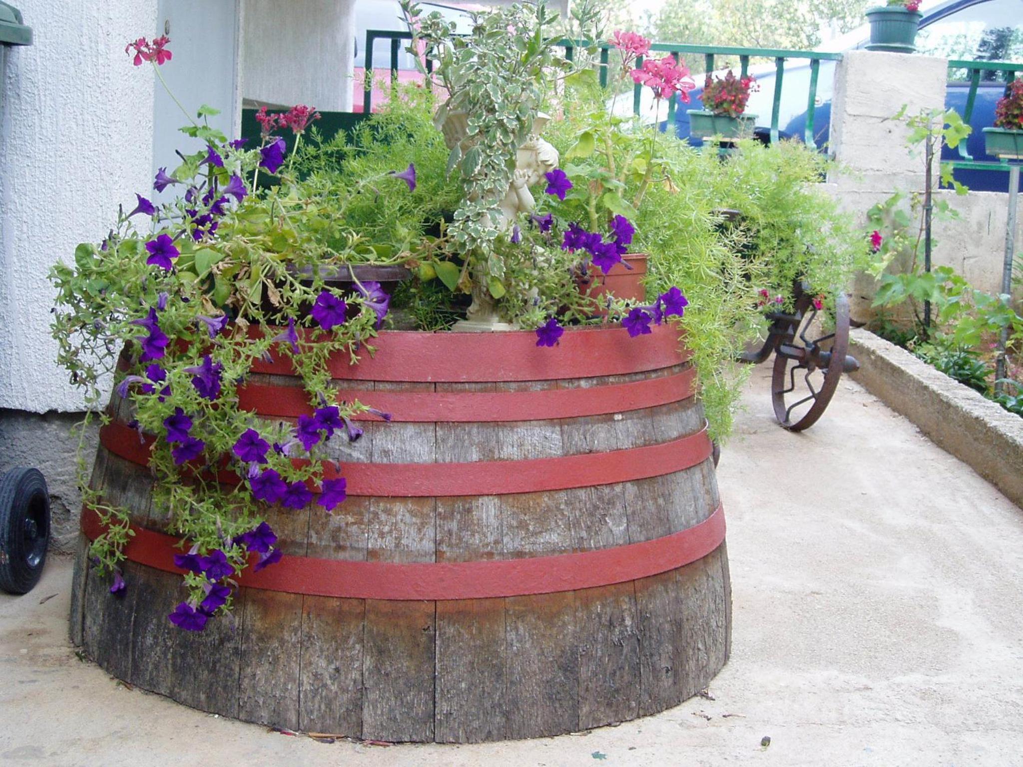 Photo 25