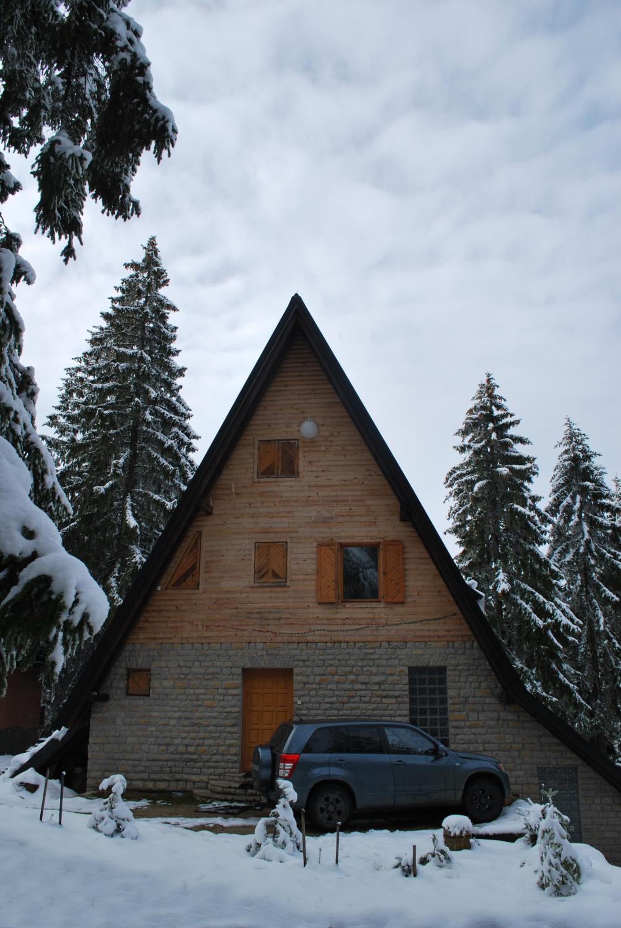 Photo 51