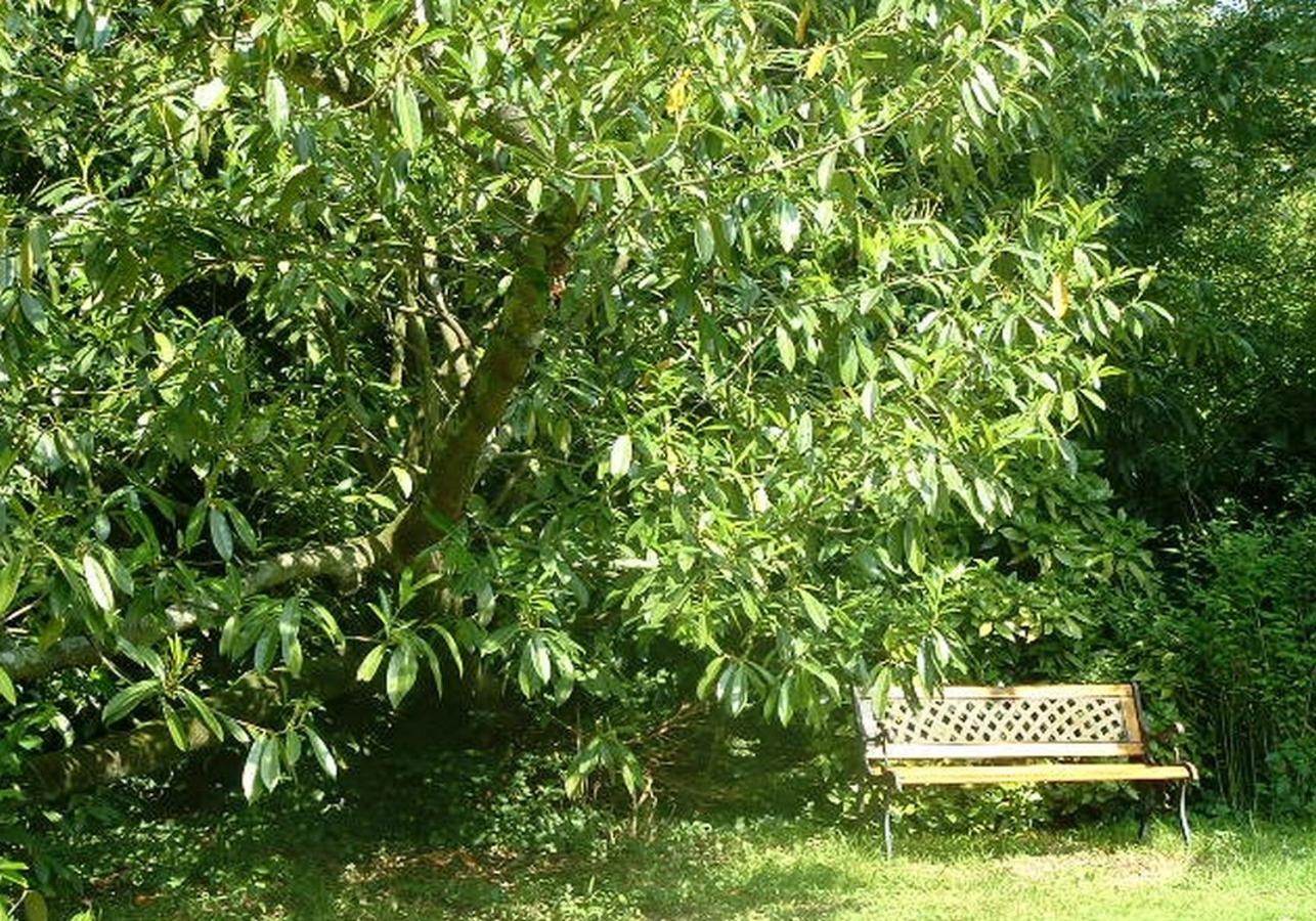 Photo 13