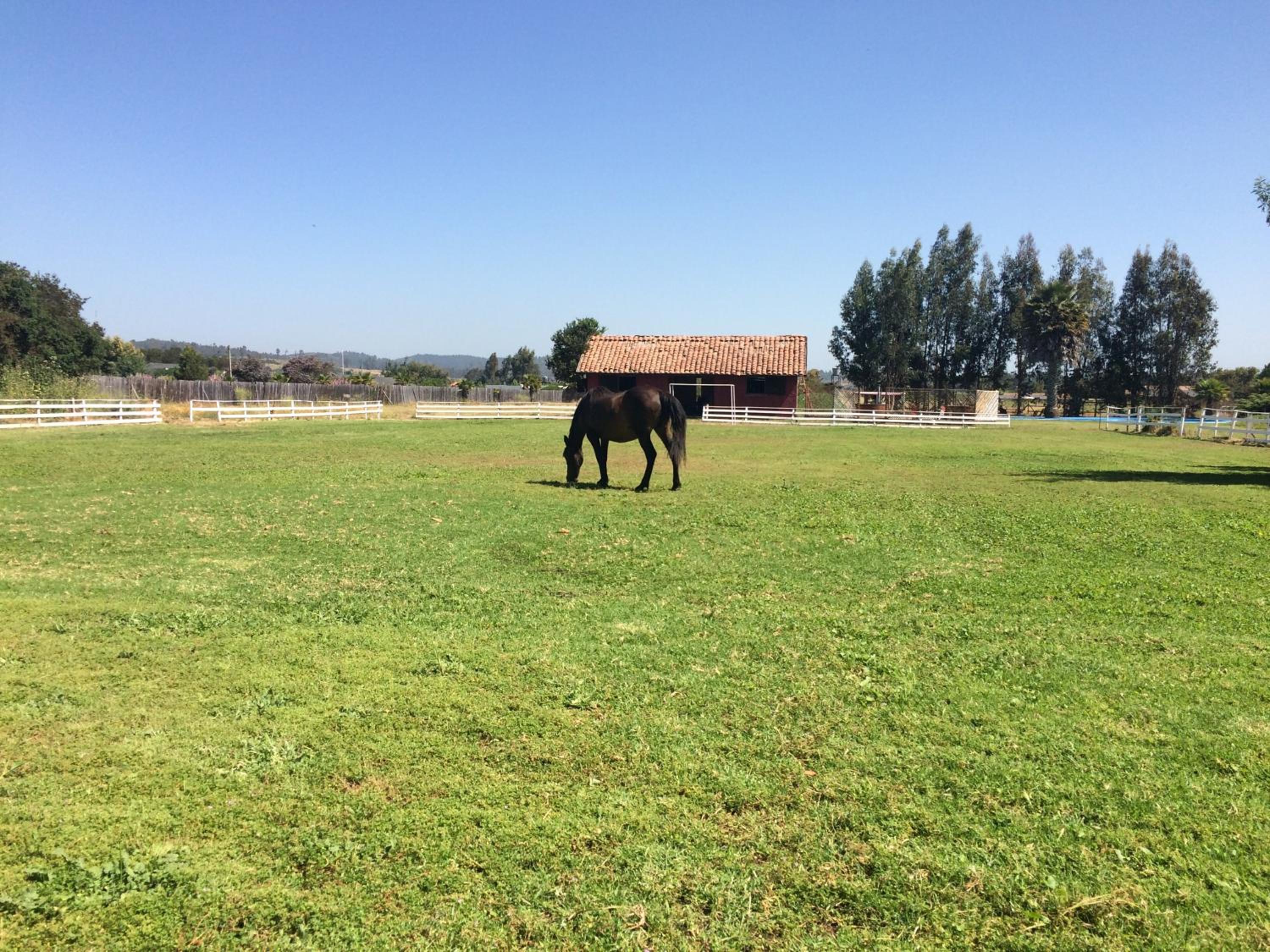 Hotel Haras Casacampo