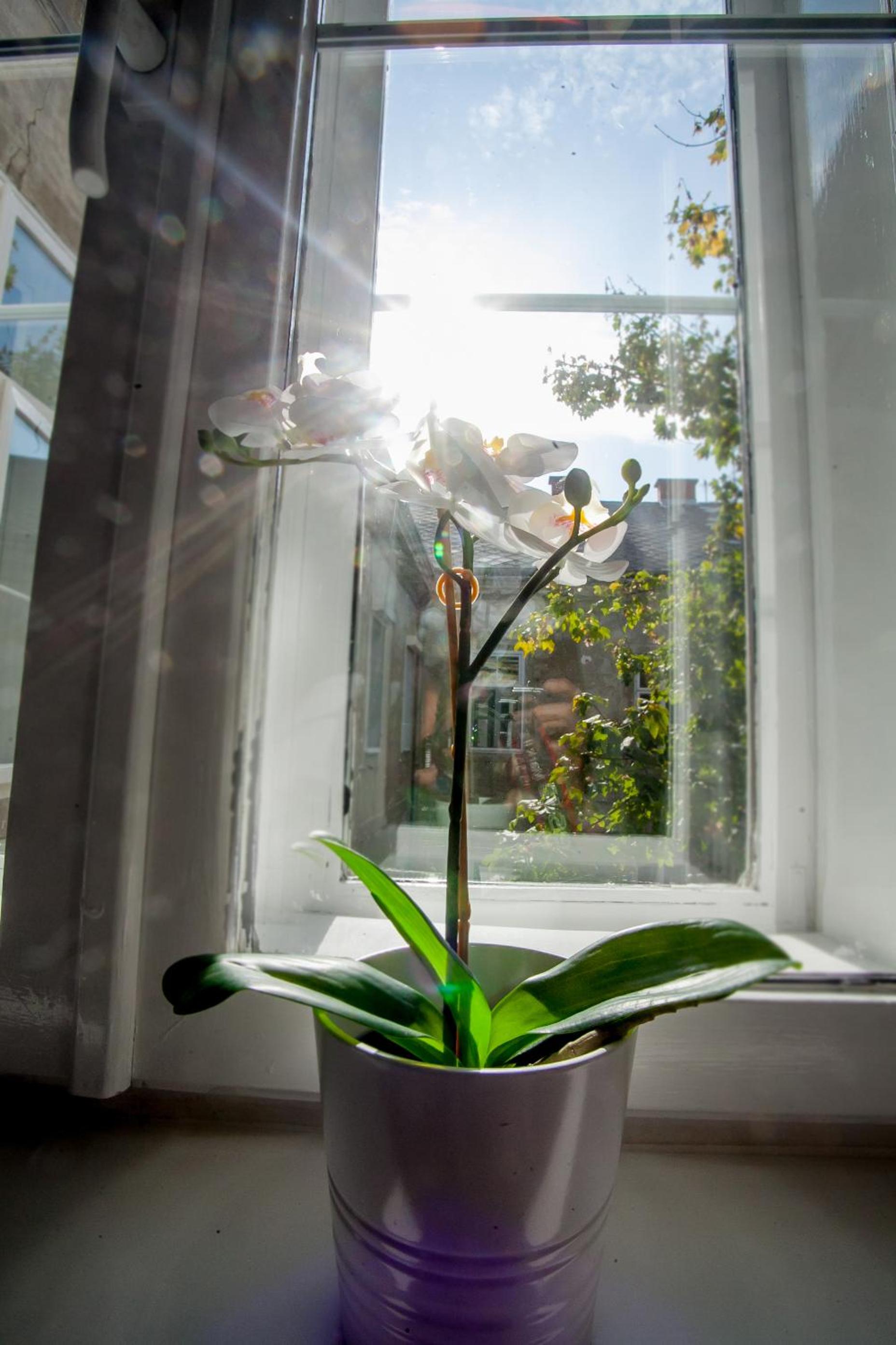 Zagreb City Vibe Apartments & Rooms