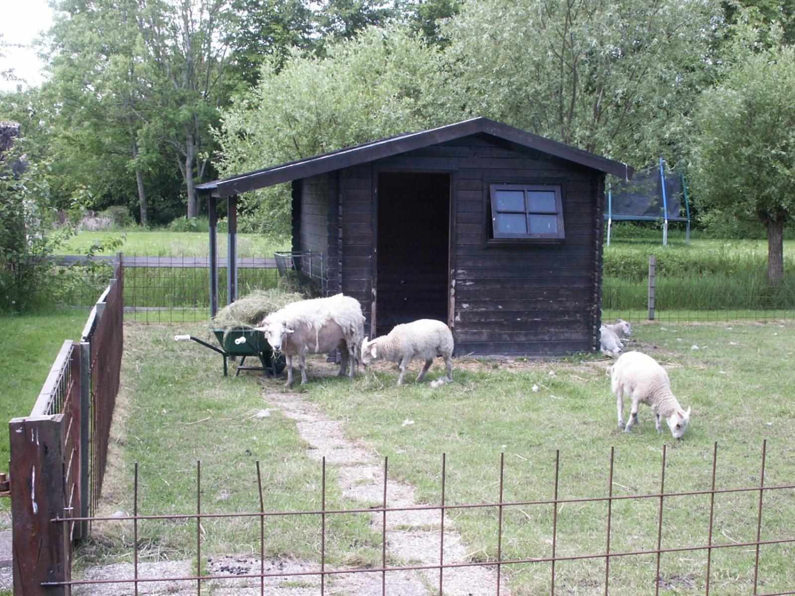 Photo 13