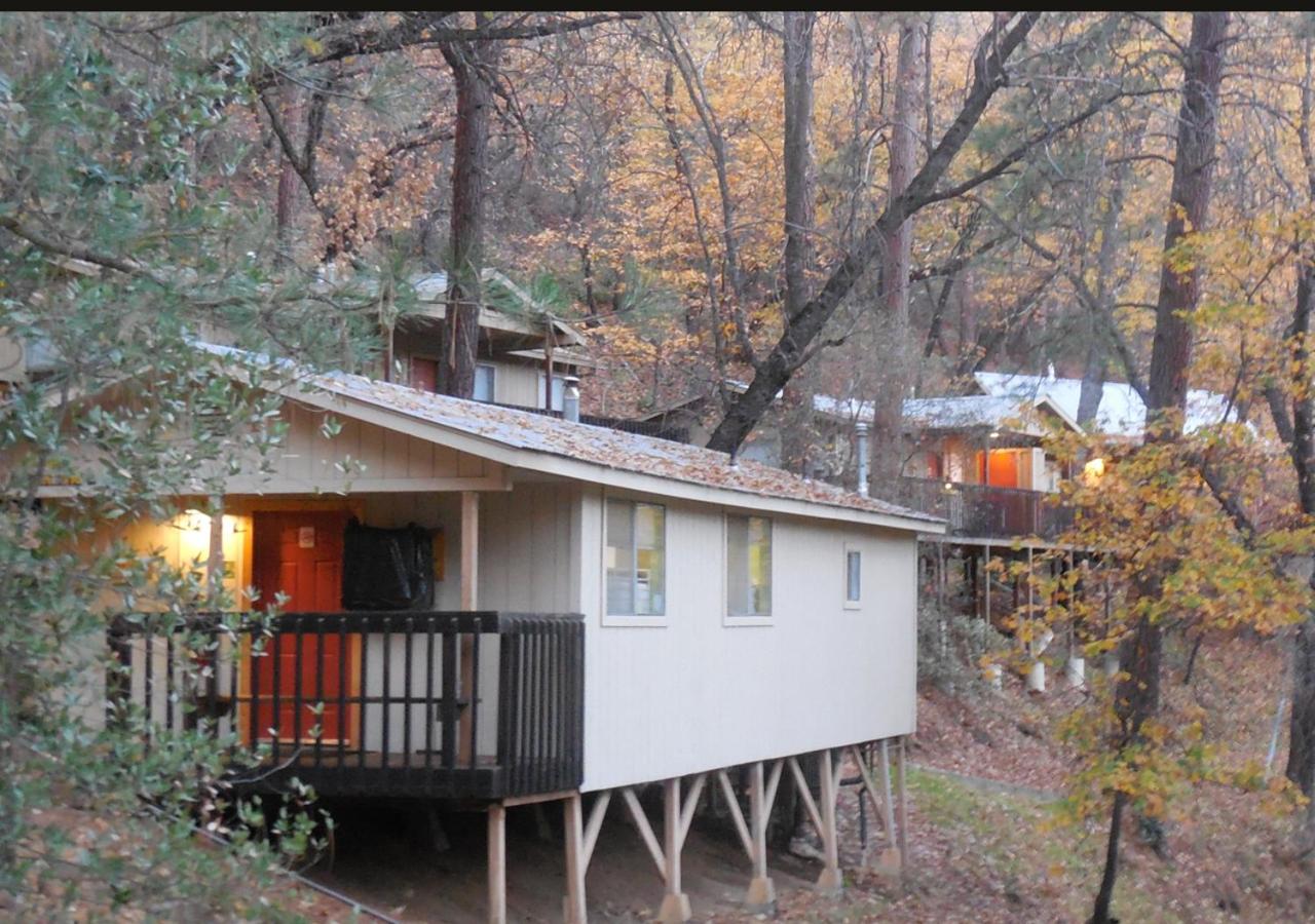 Yosemite Bug Rustic Mountain Resort