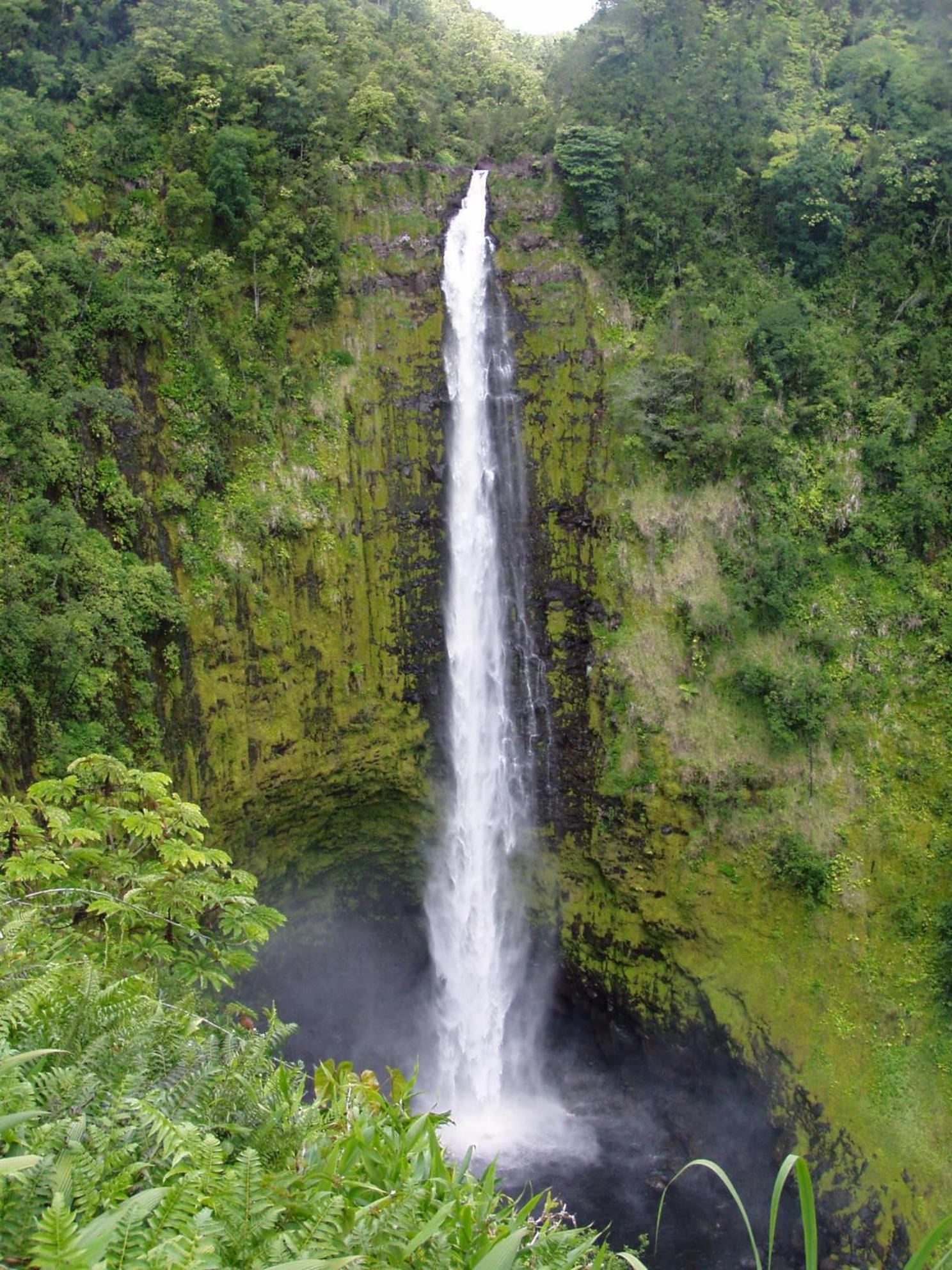 Island Goode's - Luxury Adult Only Accommodation near Hilo