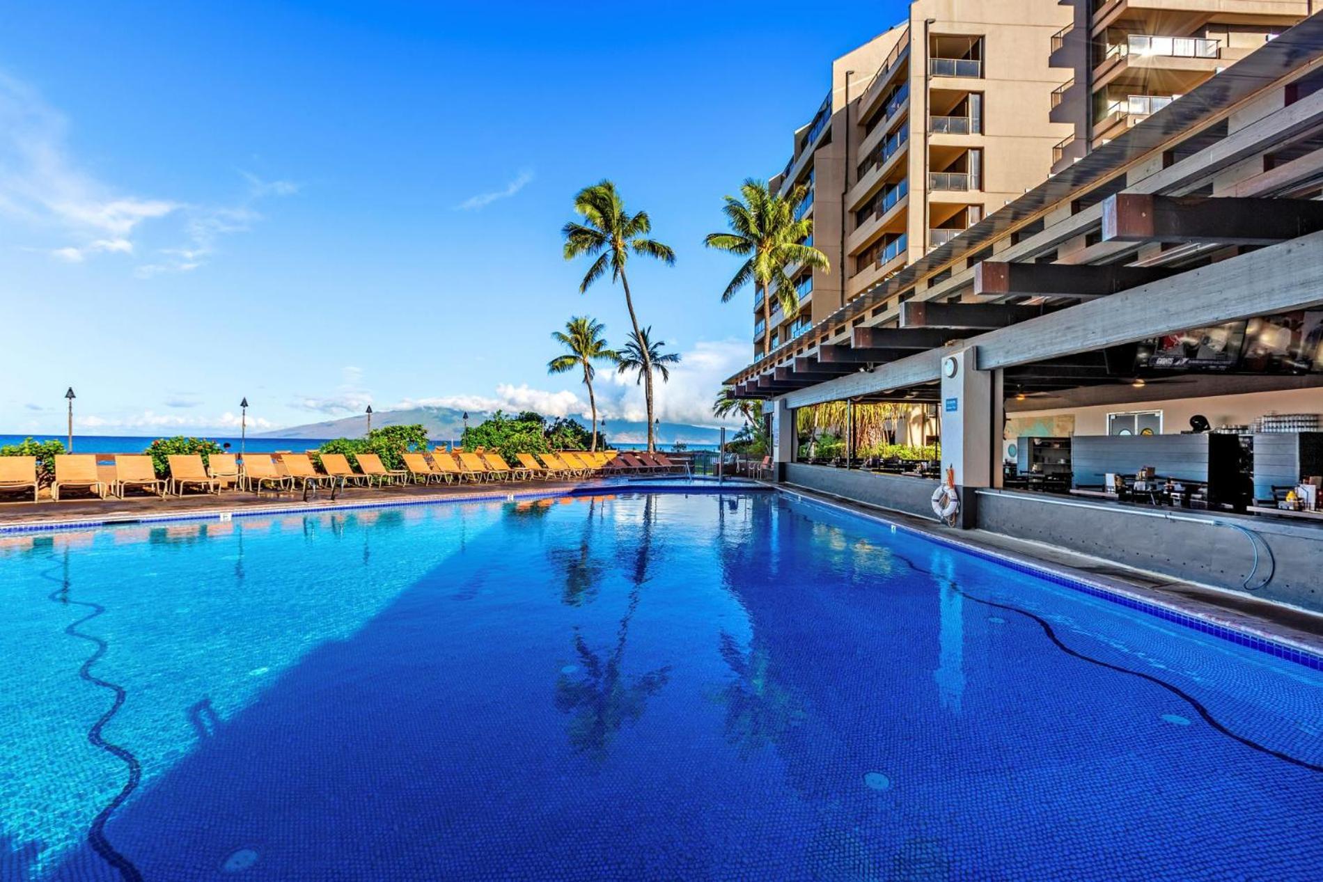 Penthouse, Ac, Happy Hour awaits! sk384 - Sullivan