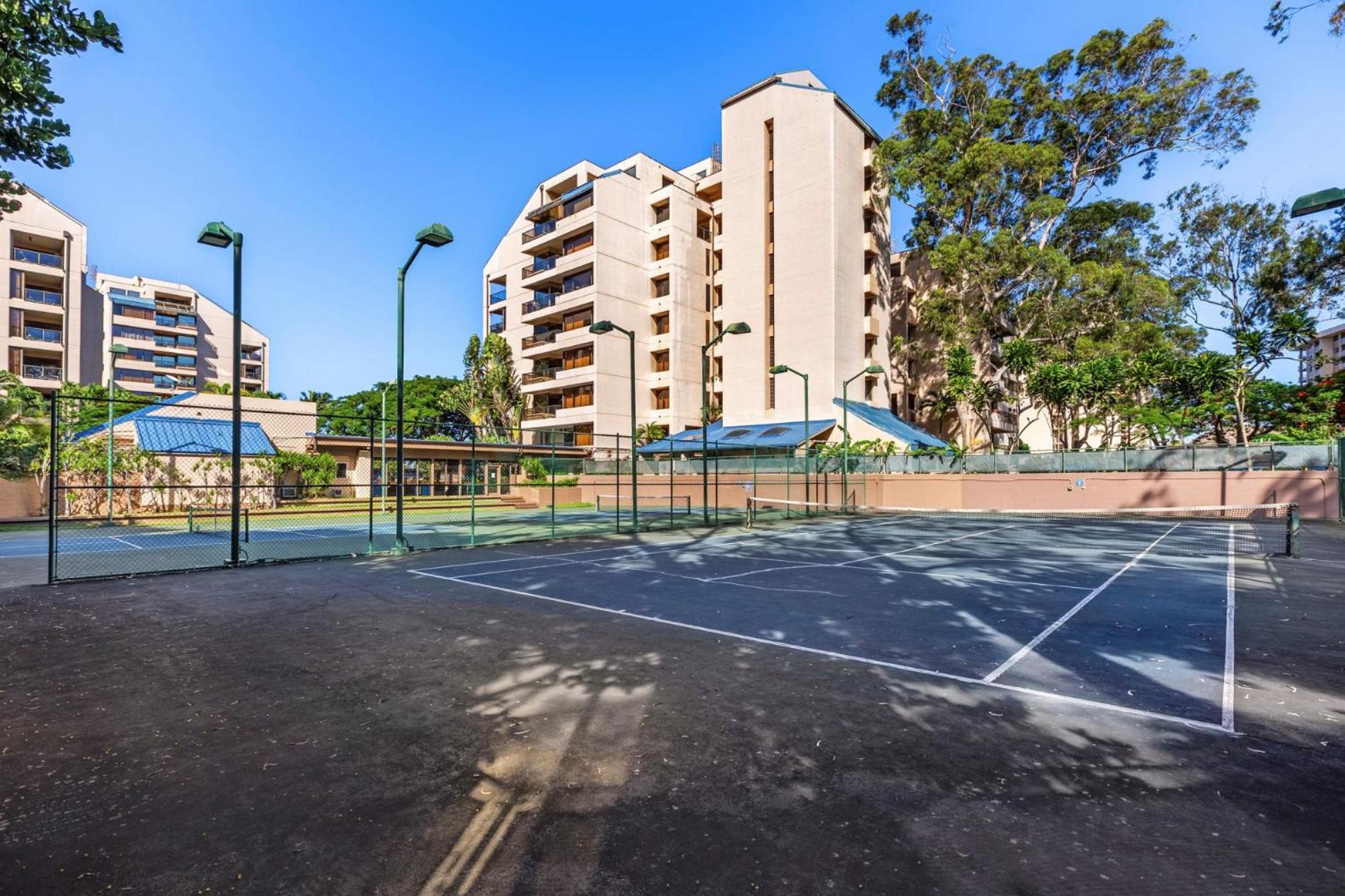 Penthouse, Ac, Happy Hour awaits! sk384 - Sullivan