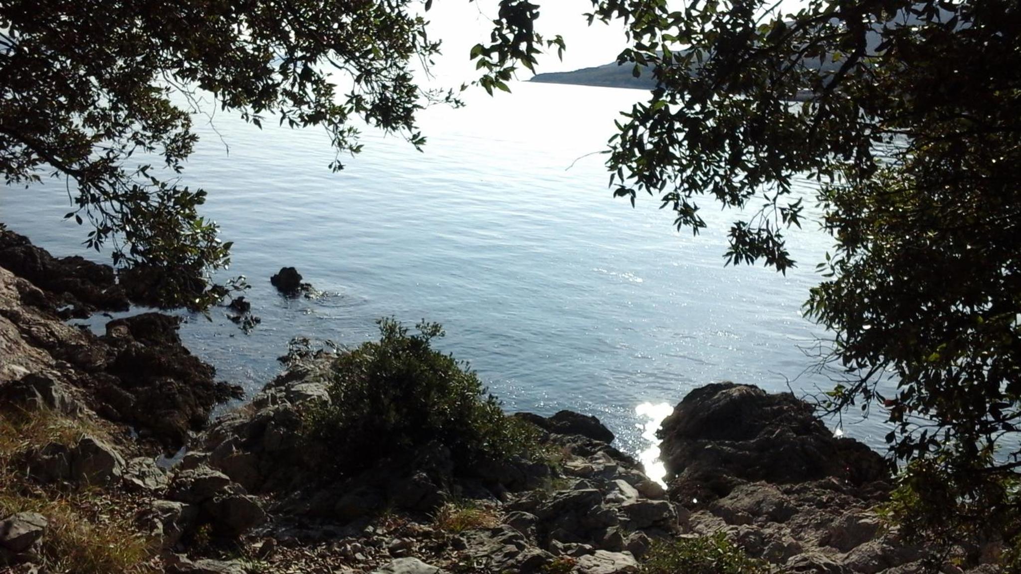 Photo 47