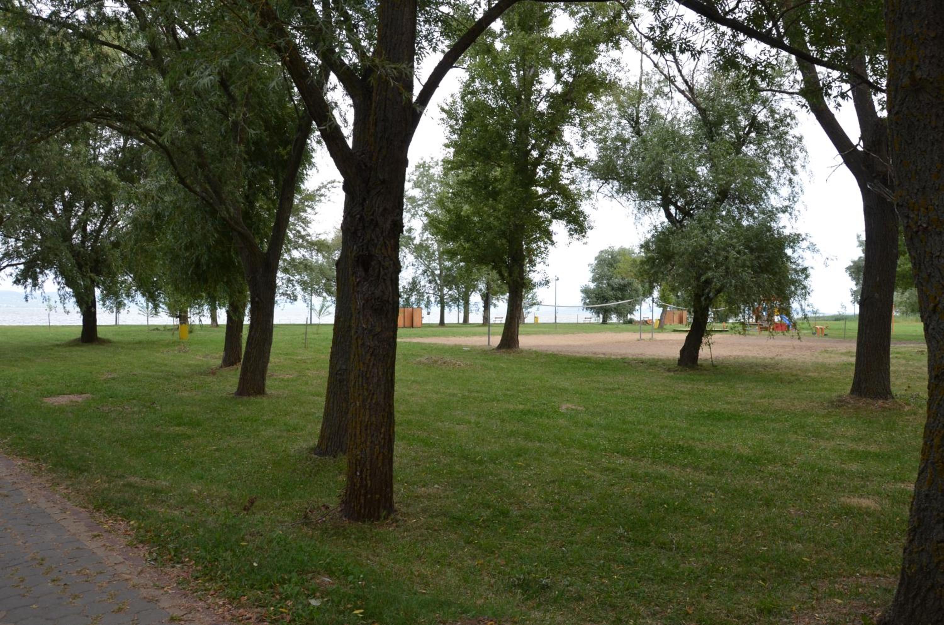 Photo 35