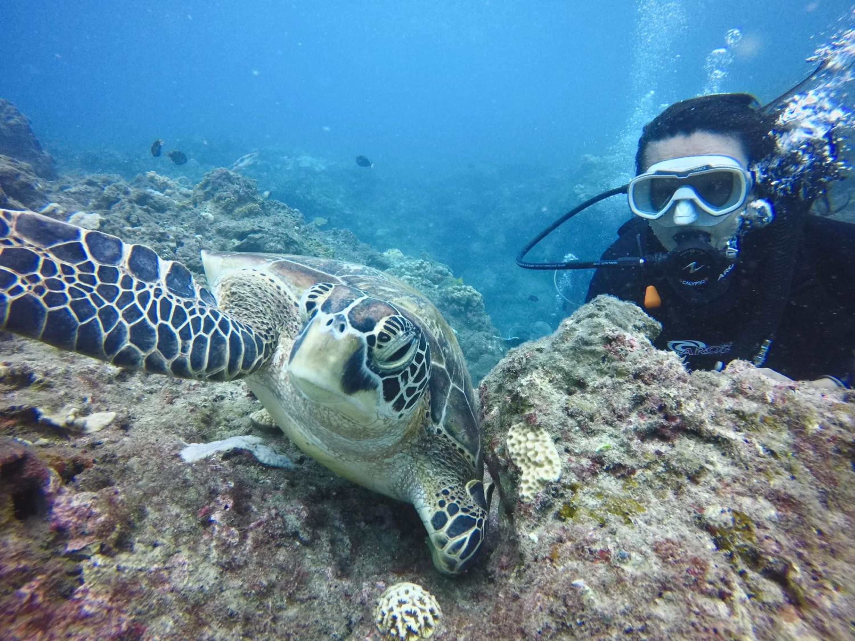 Stay Liuqiu Diving Hostel