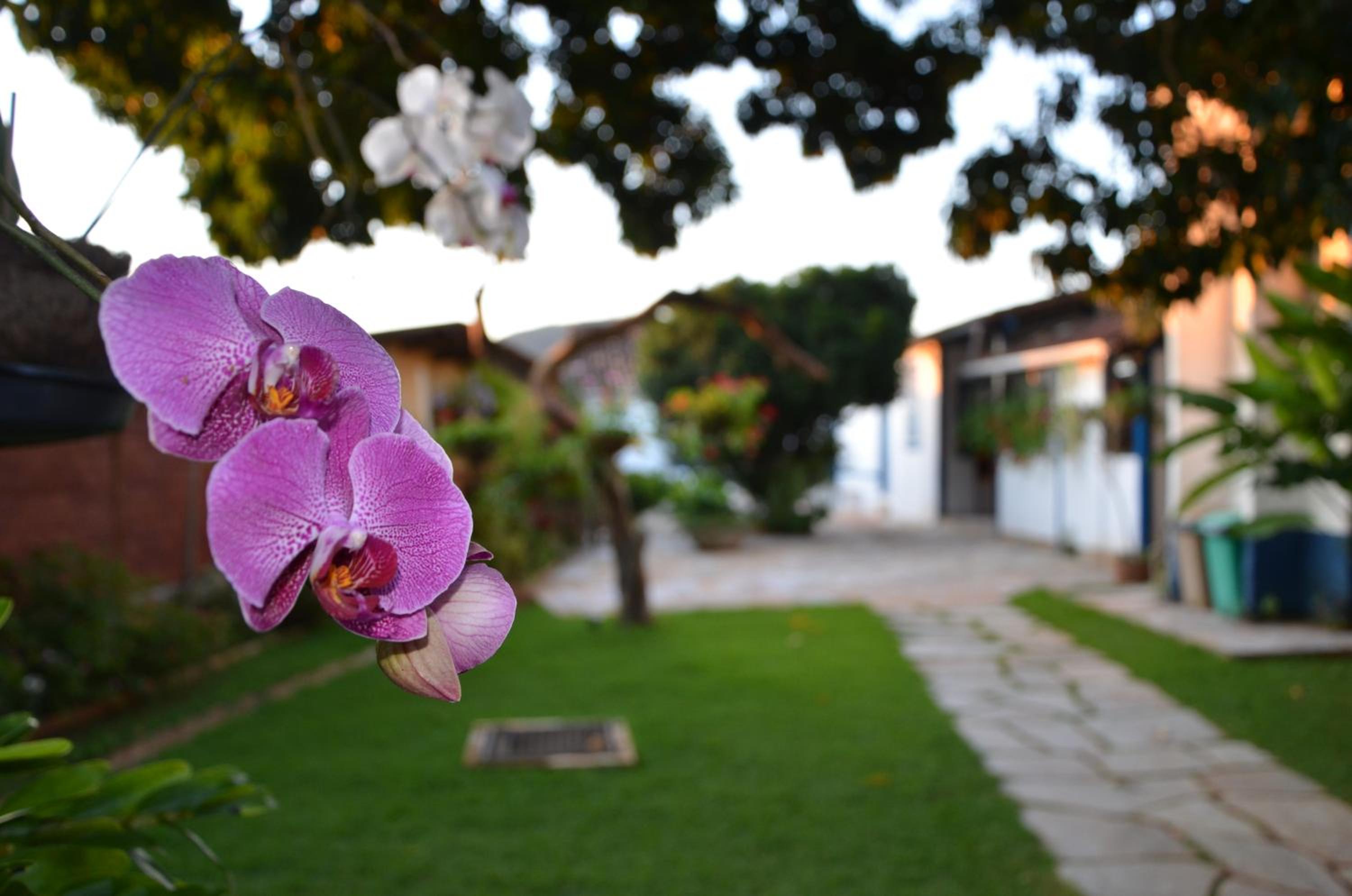 Pouso, Café e Cultura