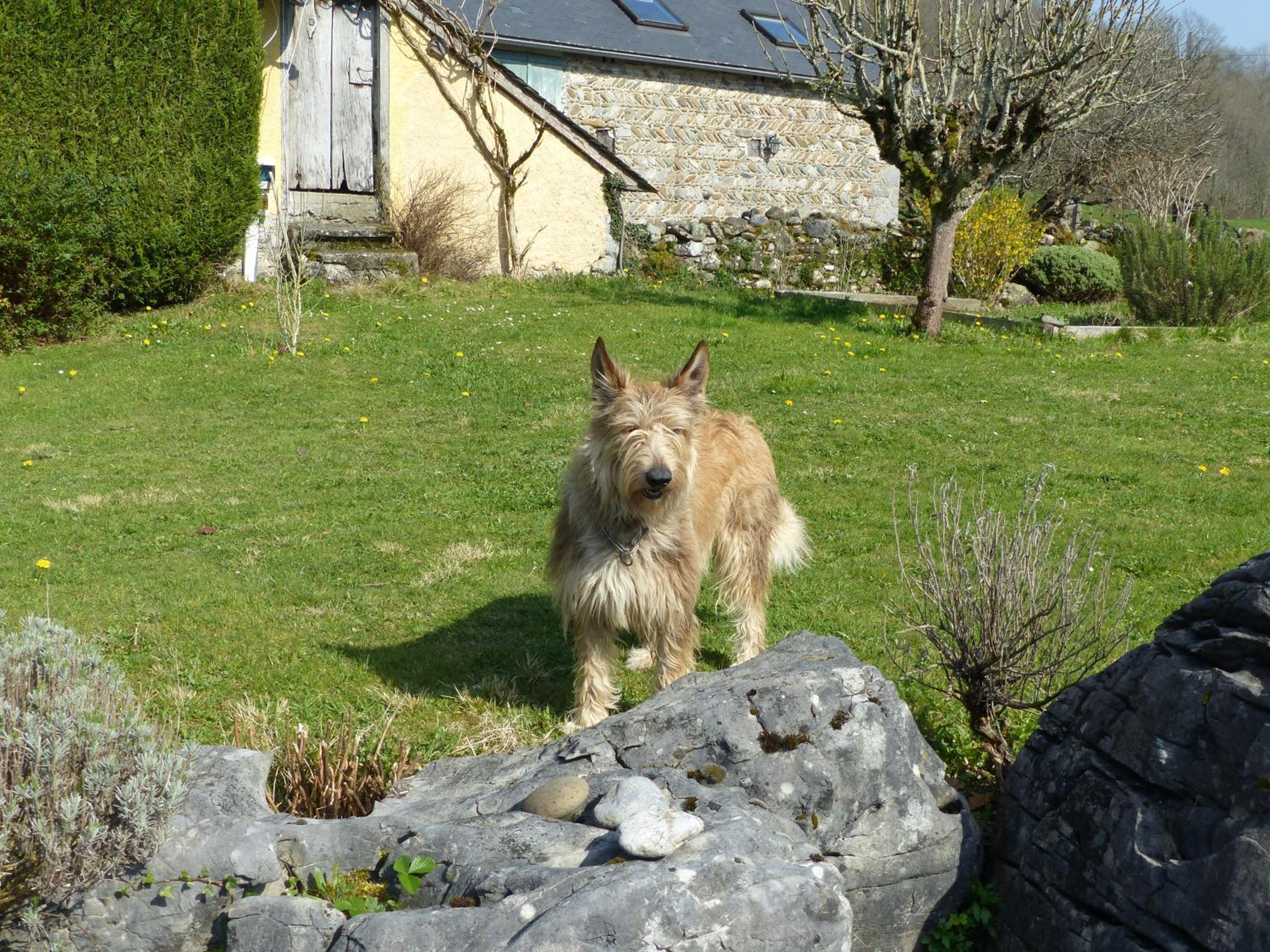 Photo 30
