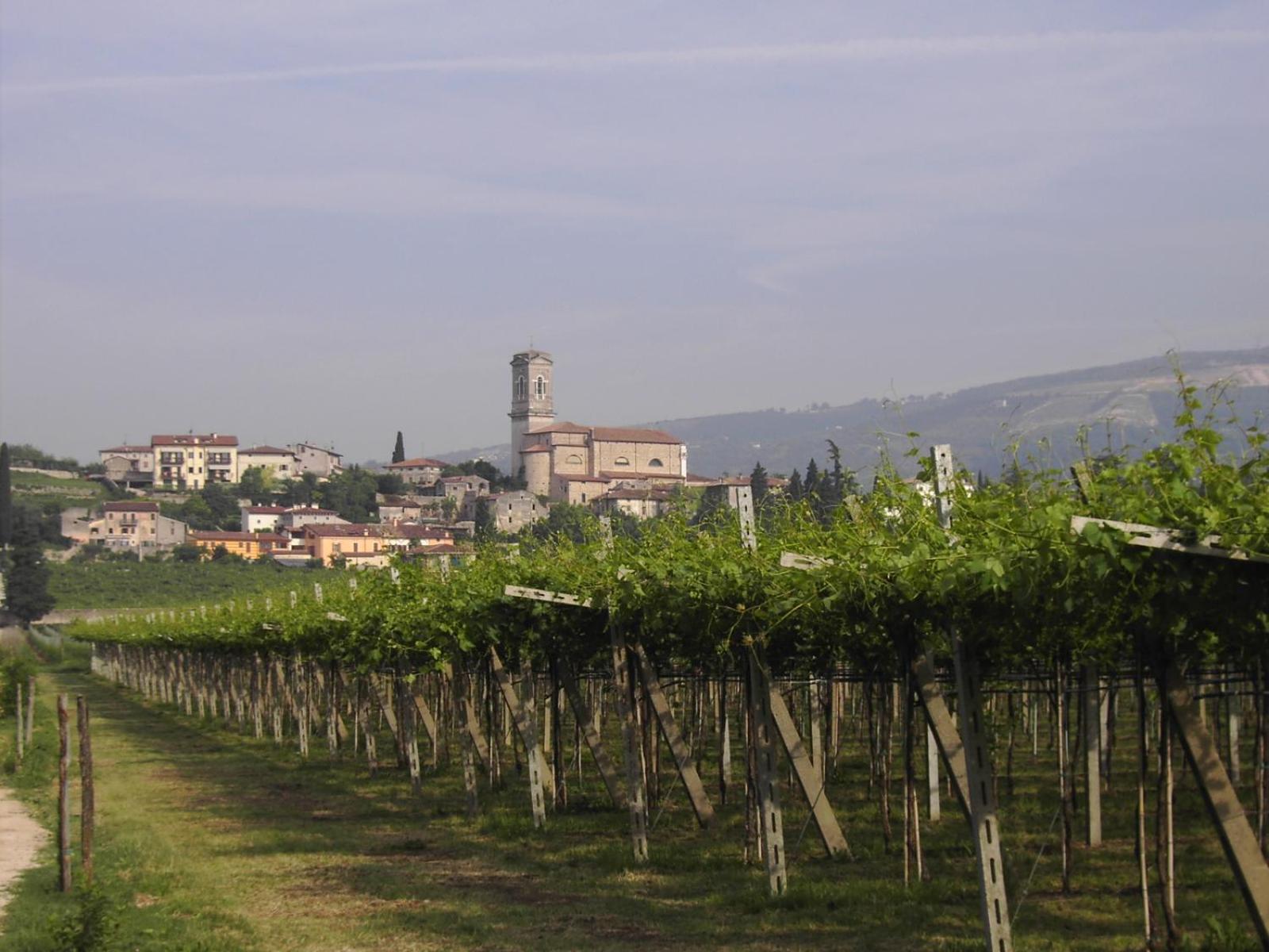 Agriturismo El Crear view 4