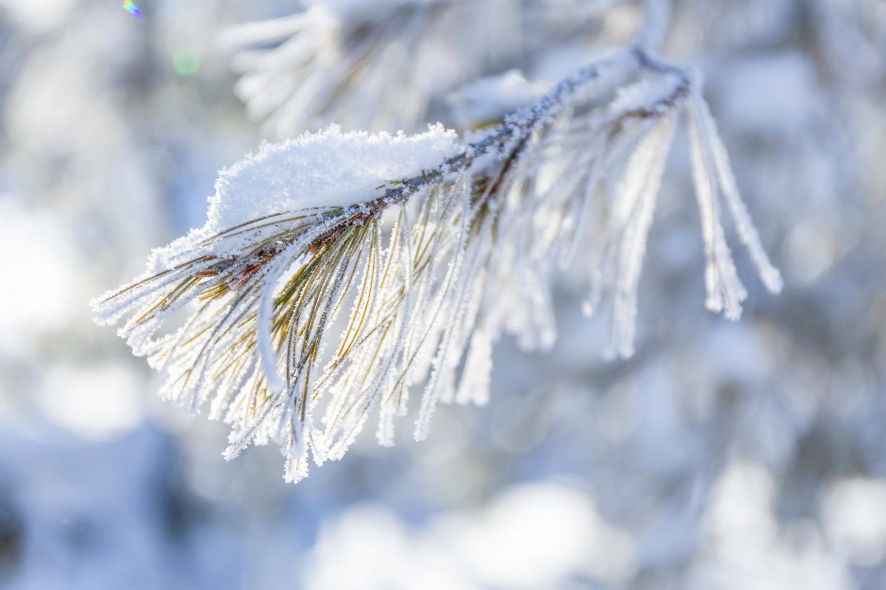 506 On the River Inn Woodstock - Property Image 21