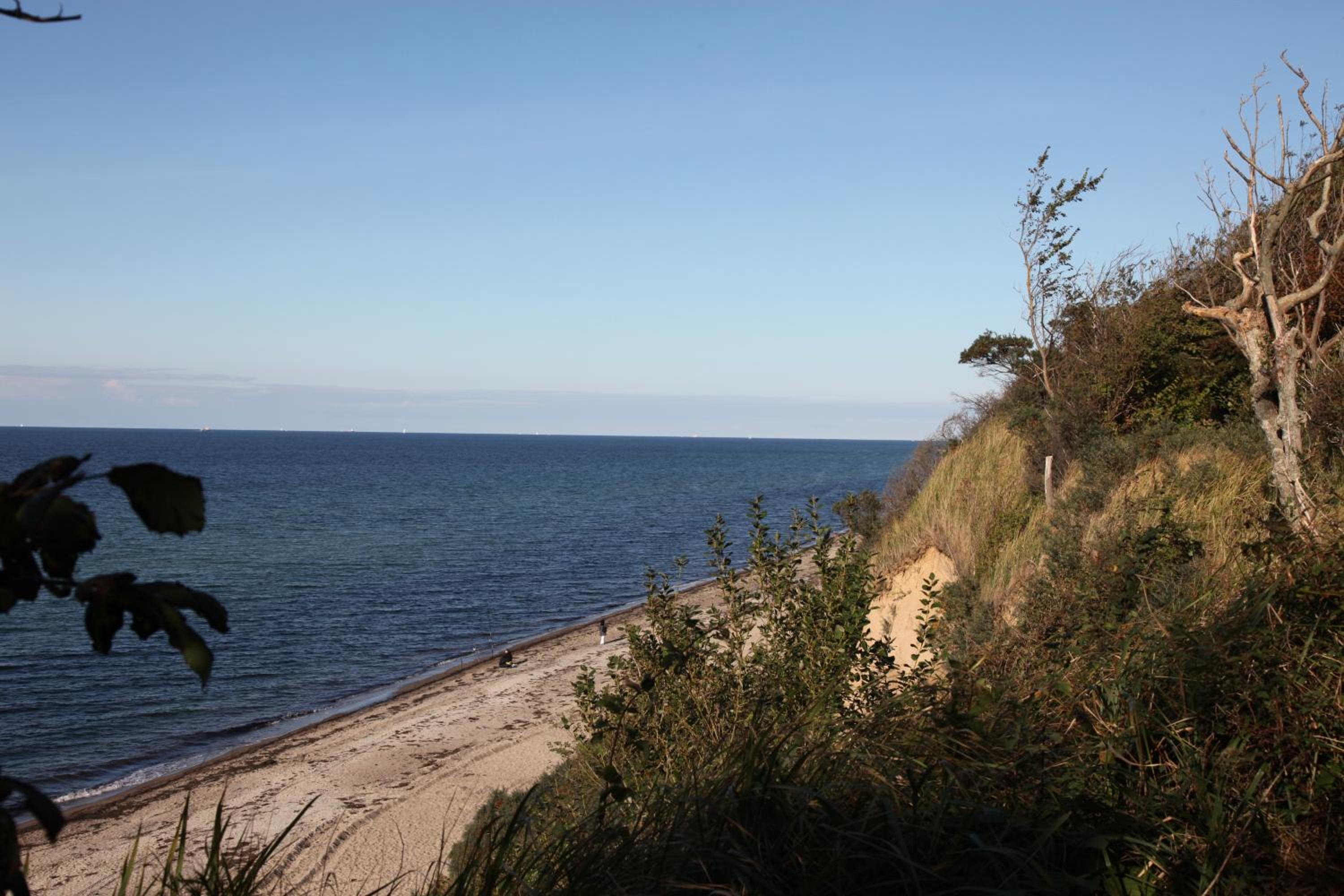 Photo 48