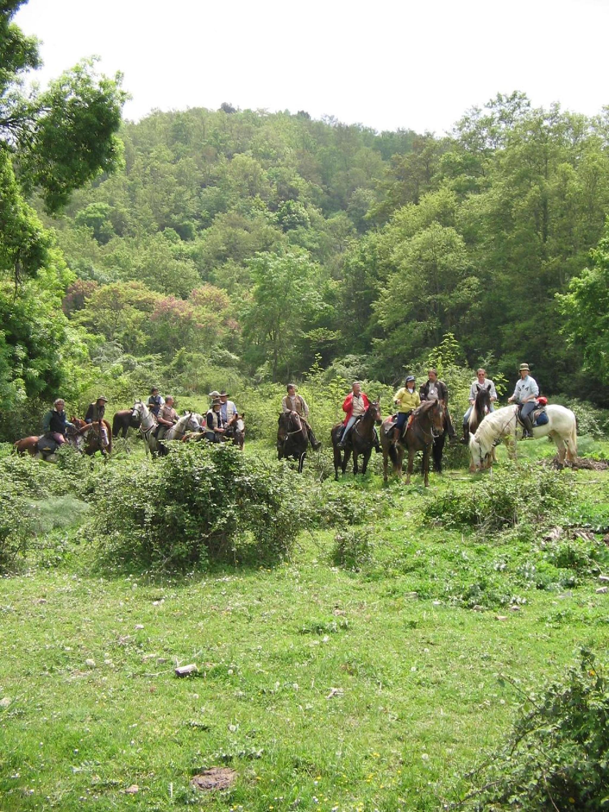 Agriturismo Casale Bonaparte