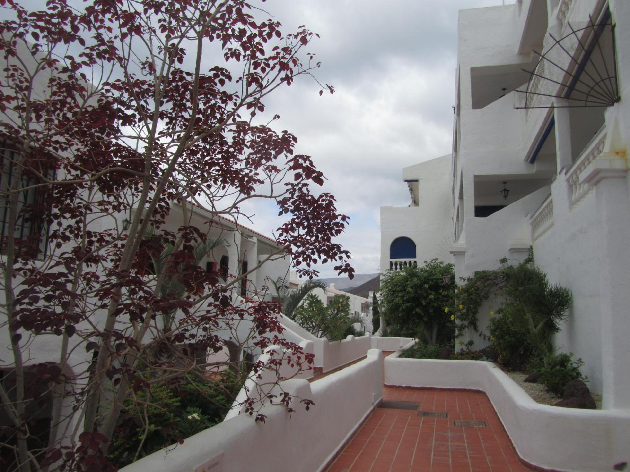 Los Cristianos modern studio view 2