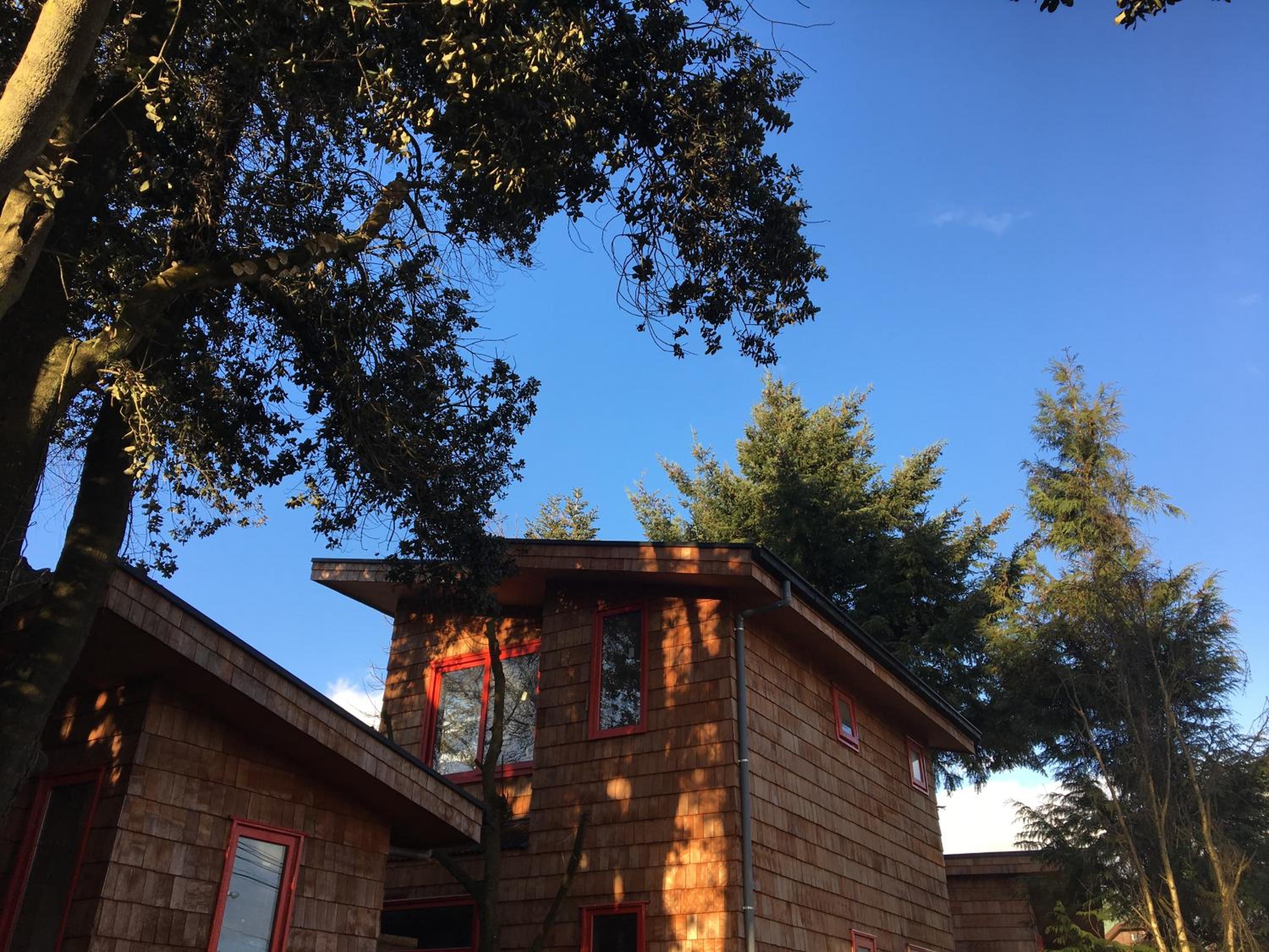 Almabosque Cabañas