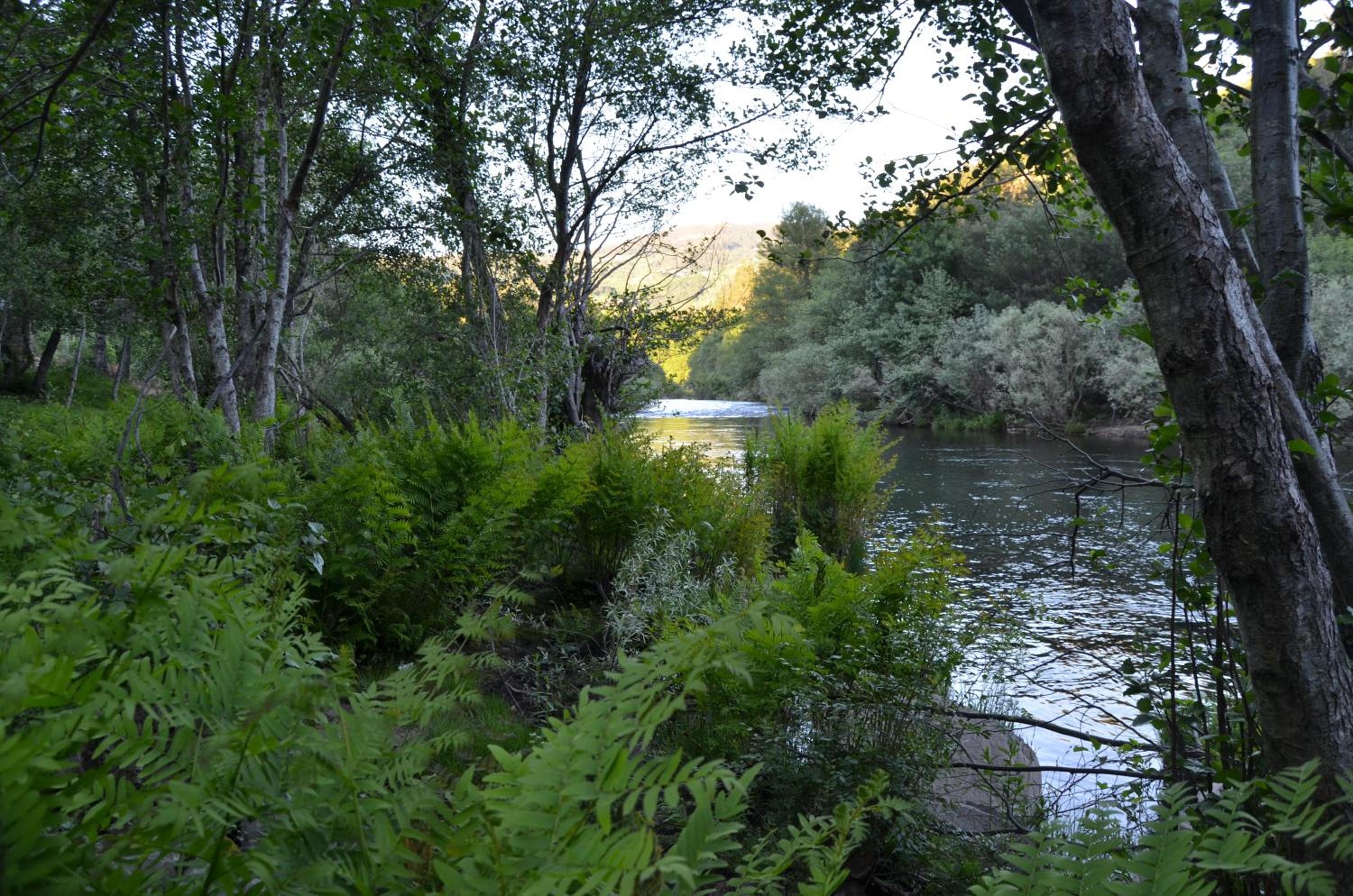 Photo 36