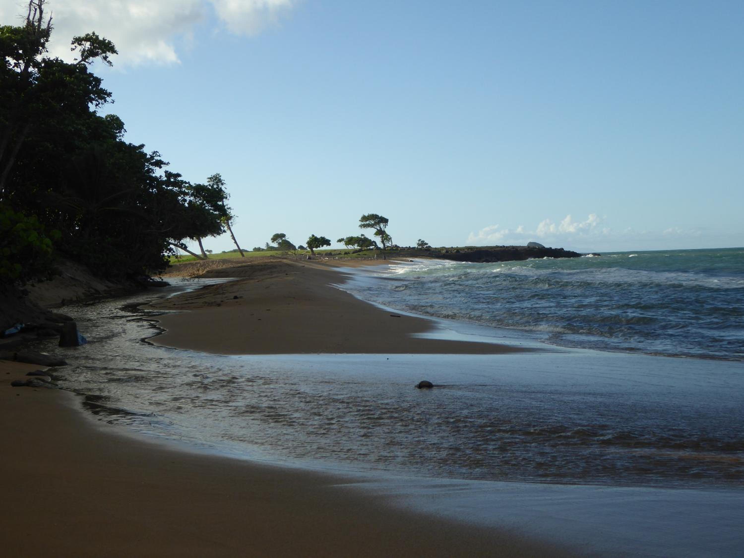 Coco Bungalows