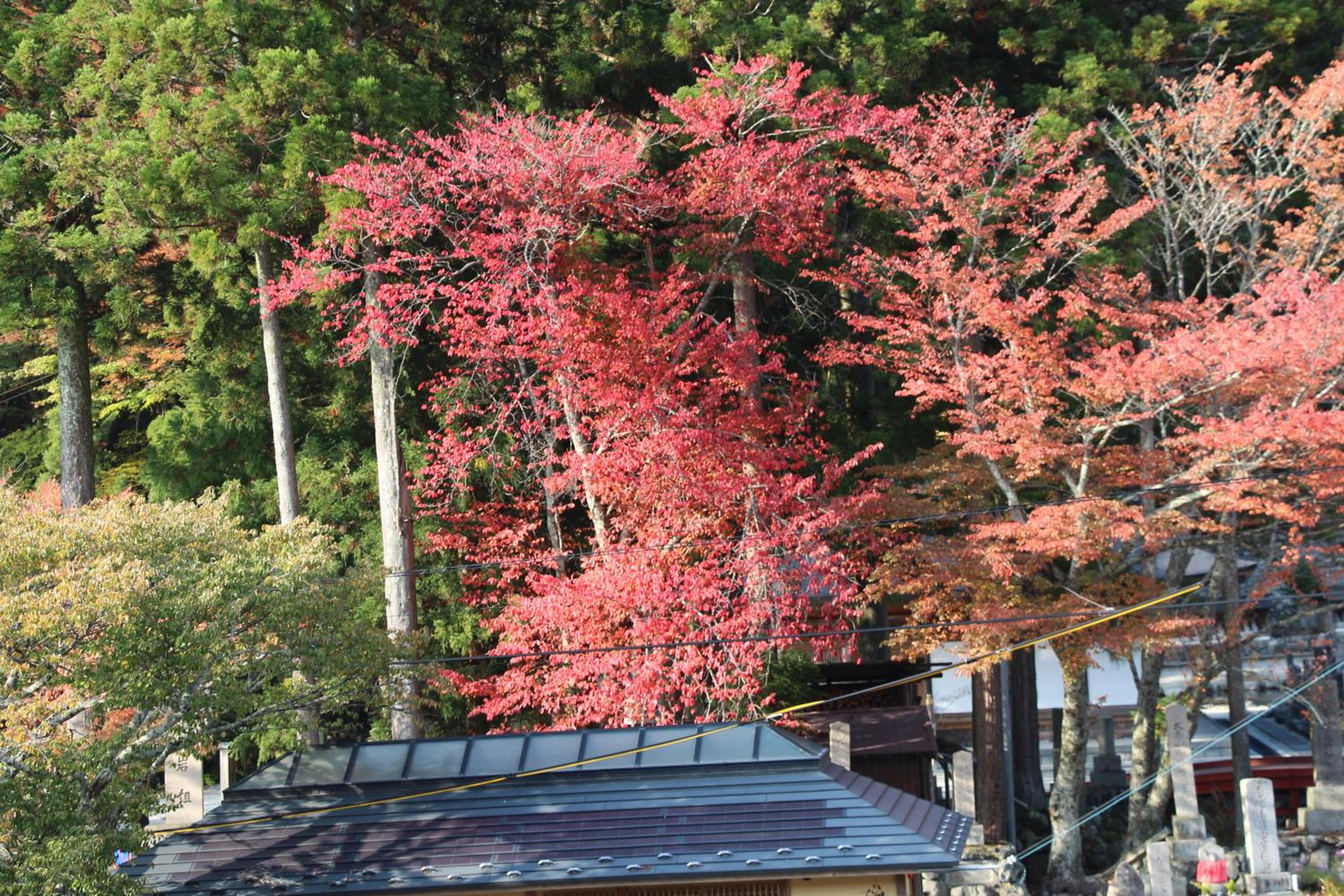 Atarashiya Ryokan