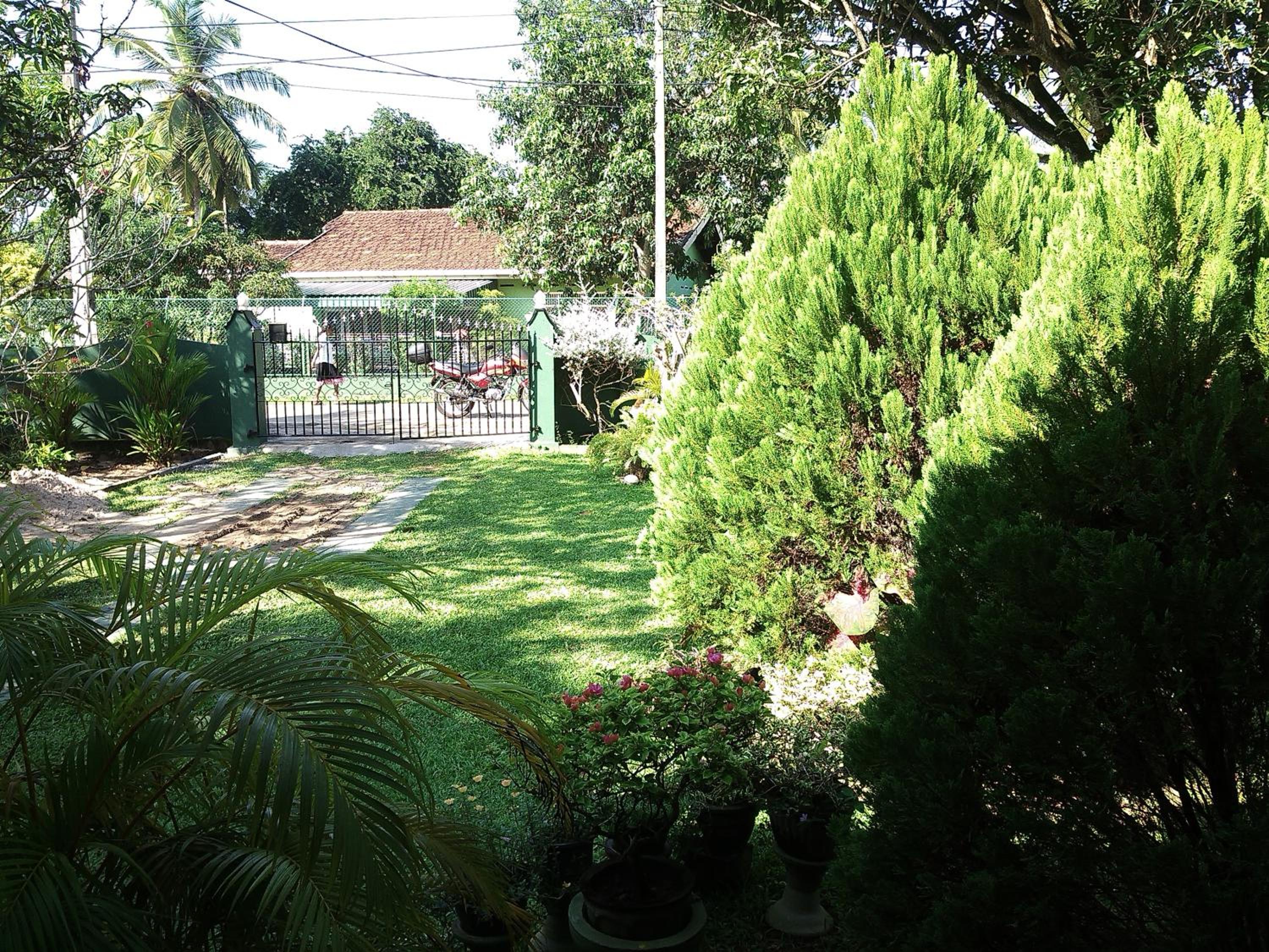 Photo 64
