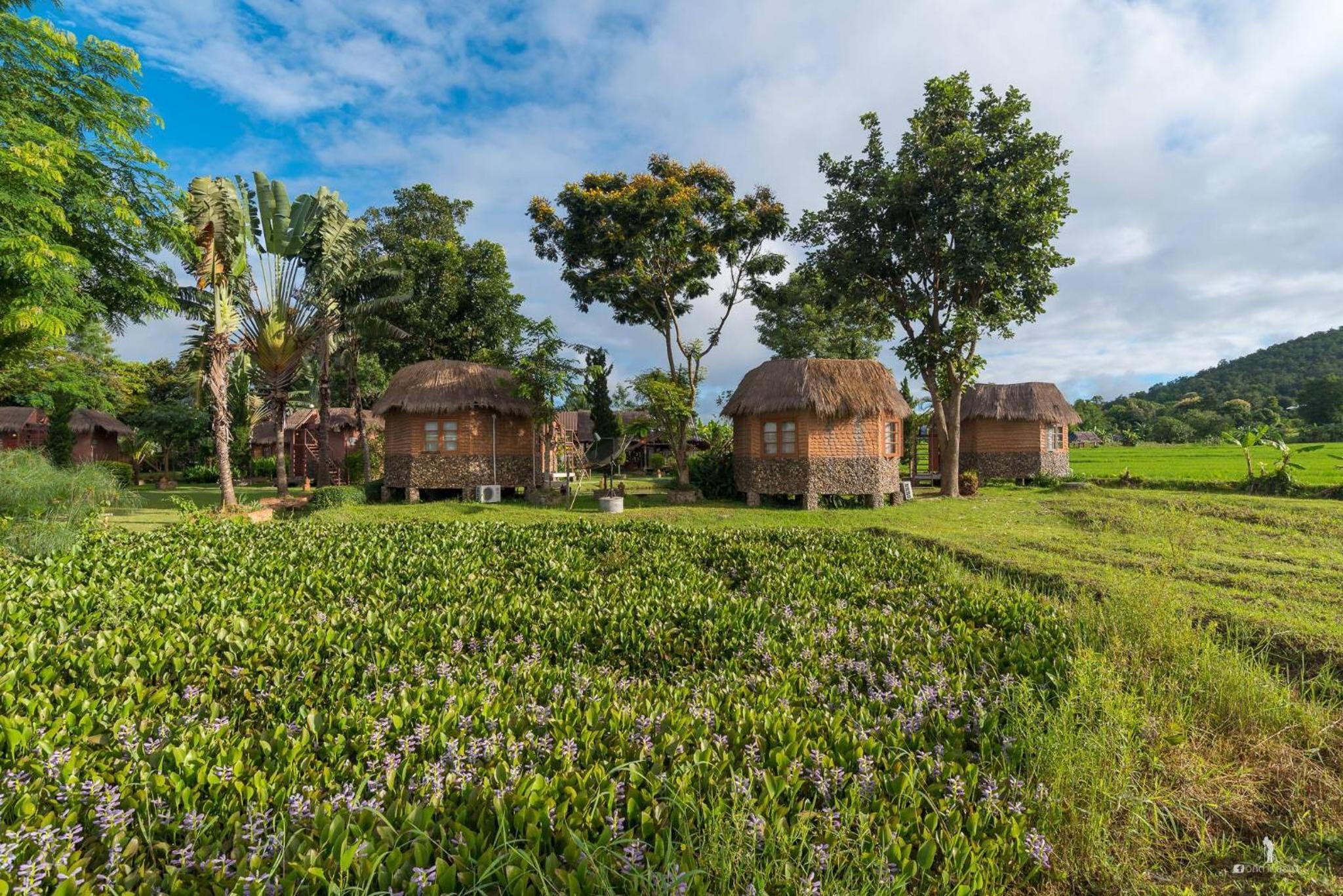 The Countryside Pai