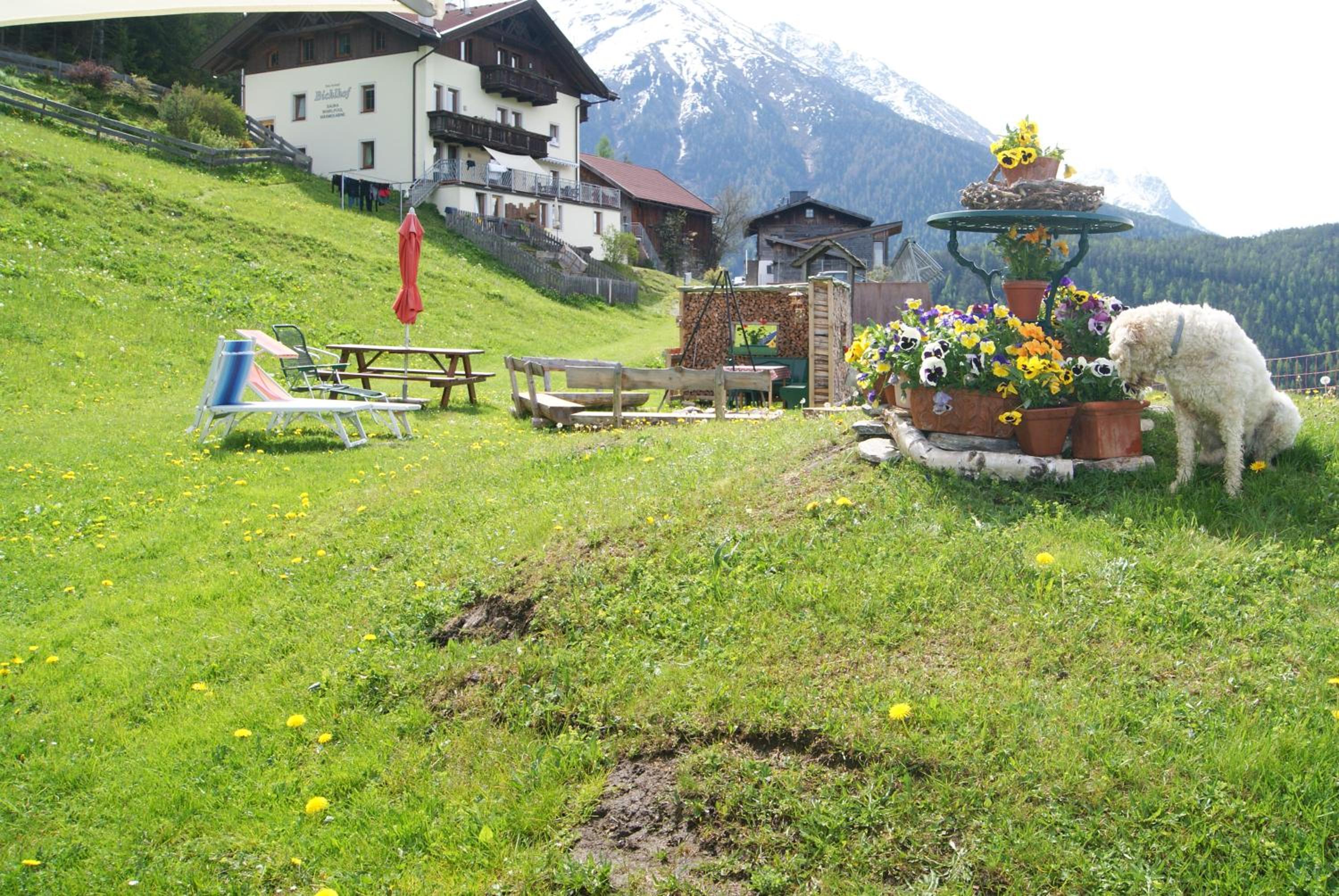 Photo 41