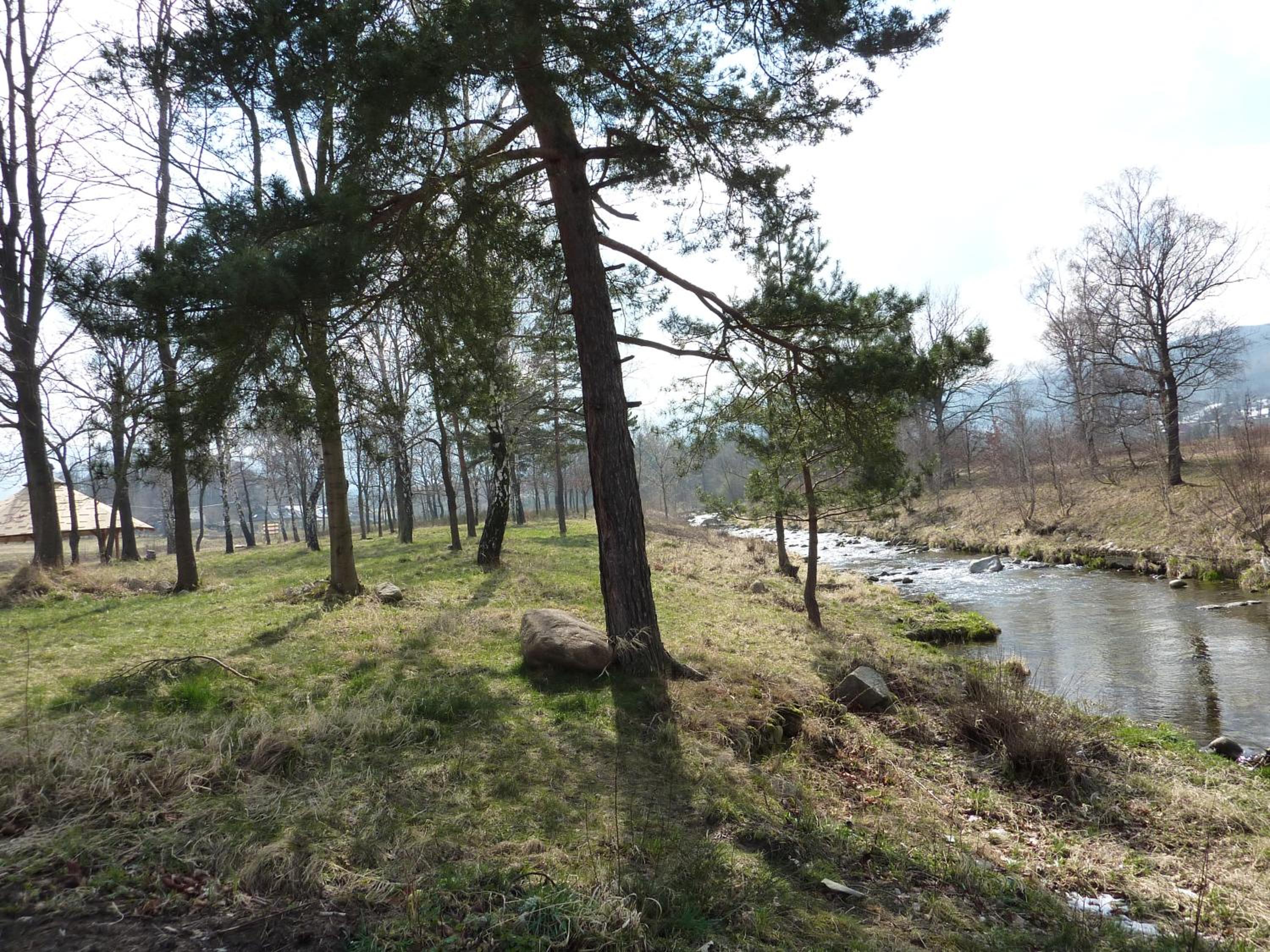 Photo 43
