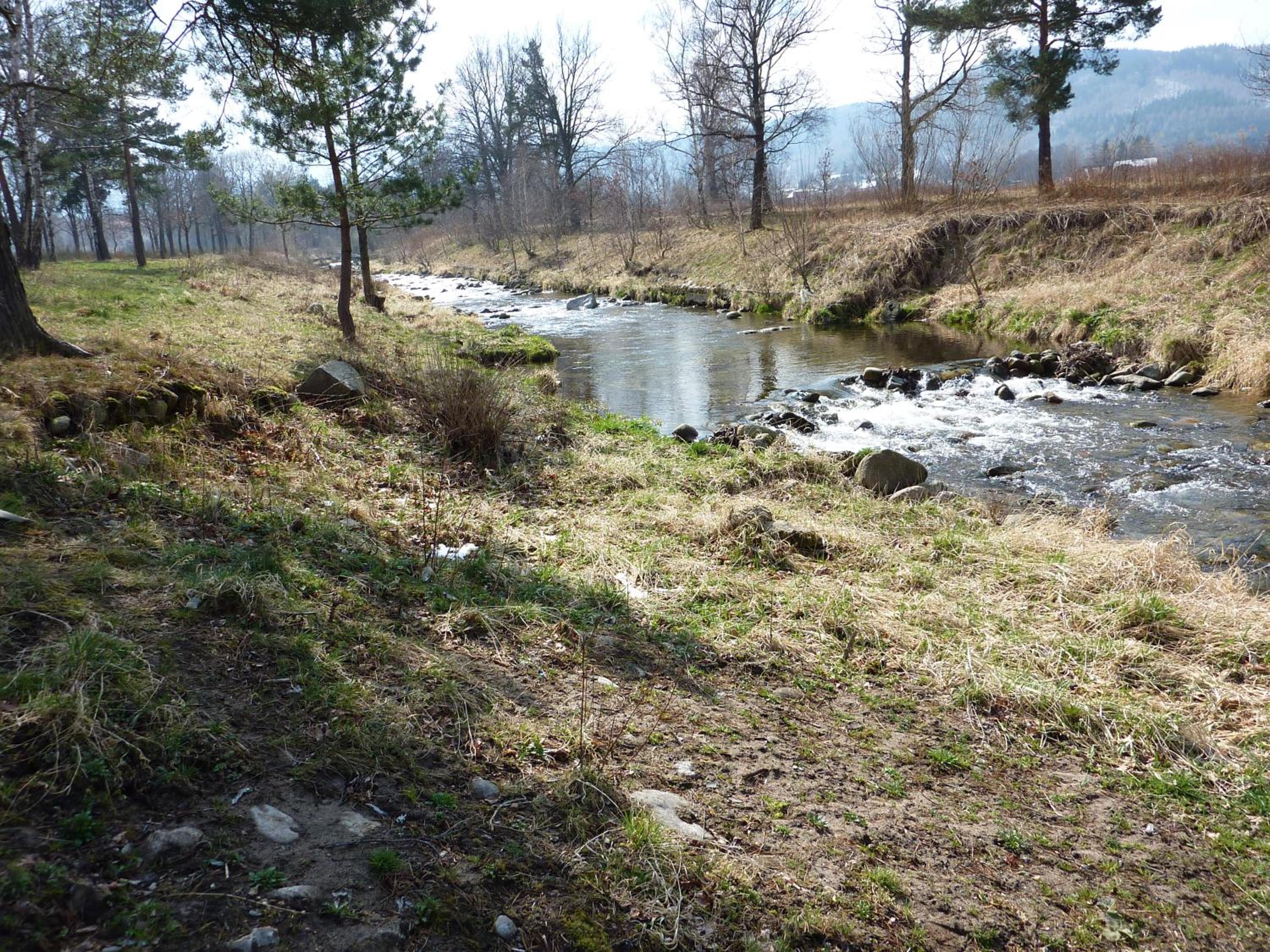 Photo 34